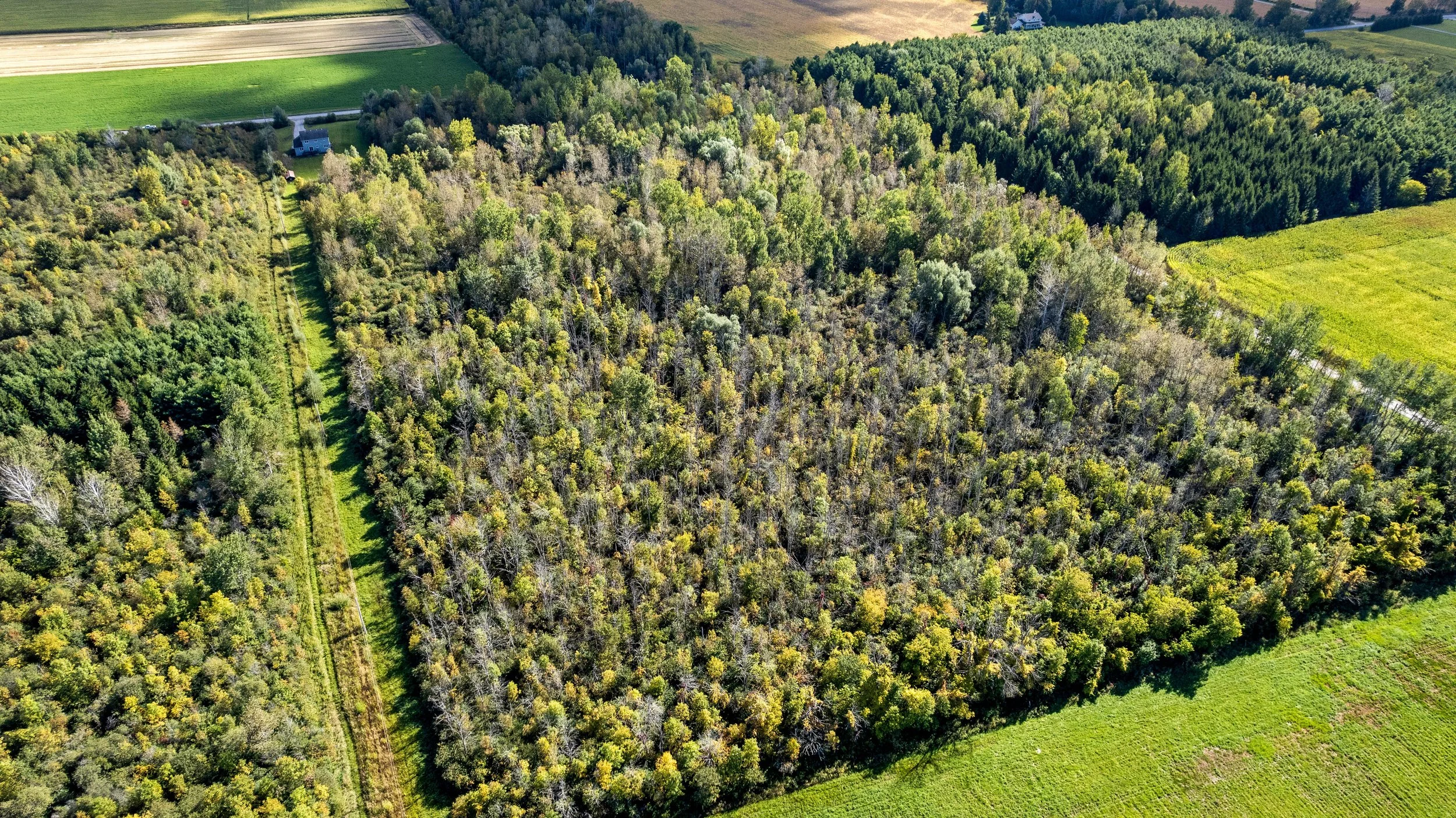 DJI_0031.JPG