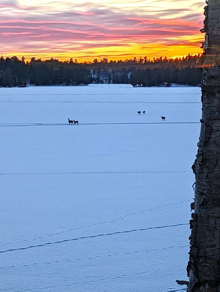 Sunset with Deer (Custom).jpg