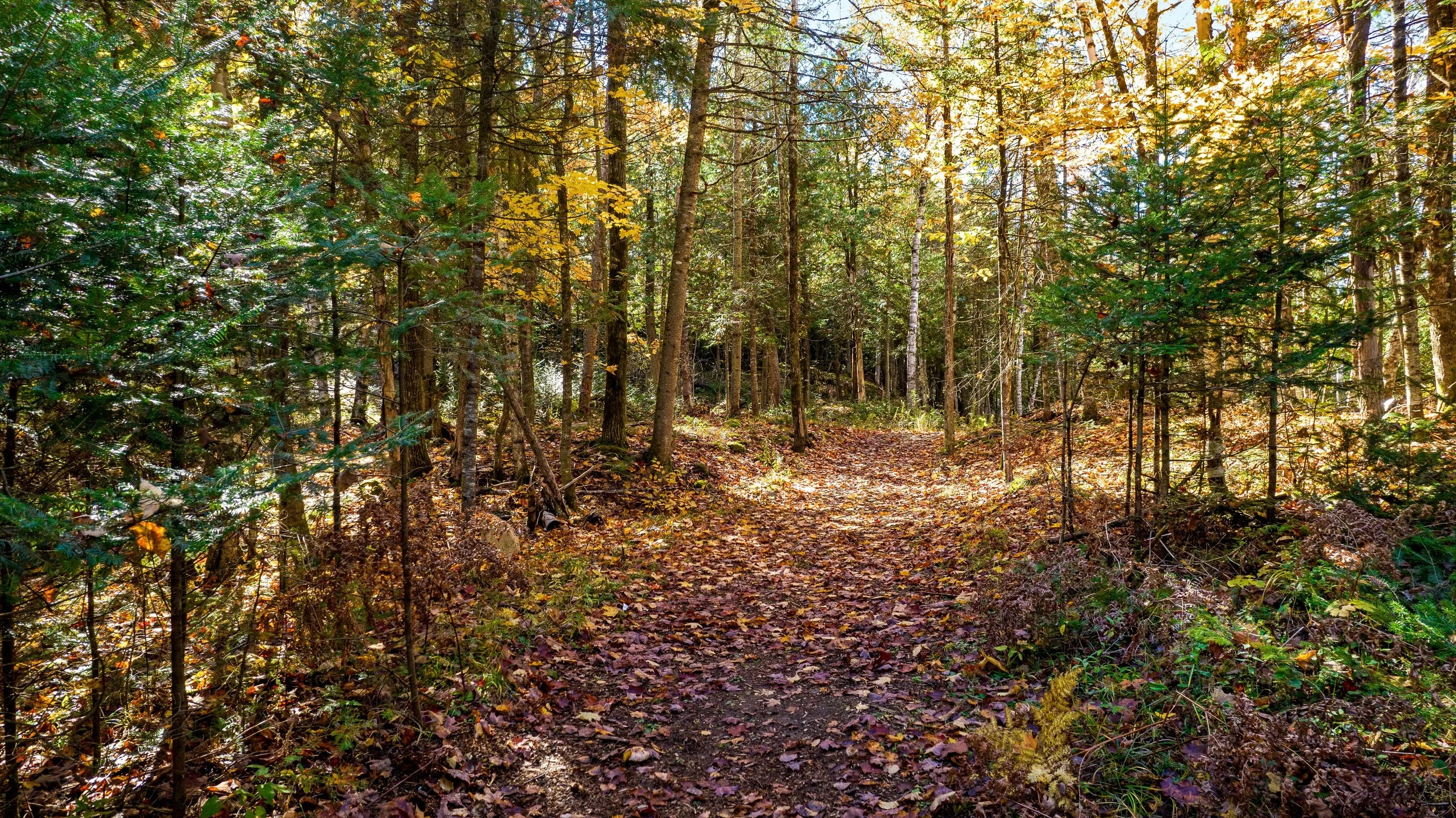 DJI_0328.JPG