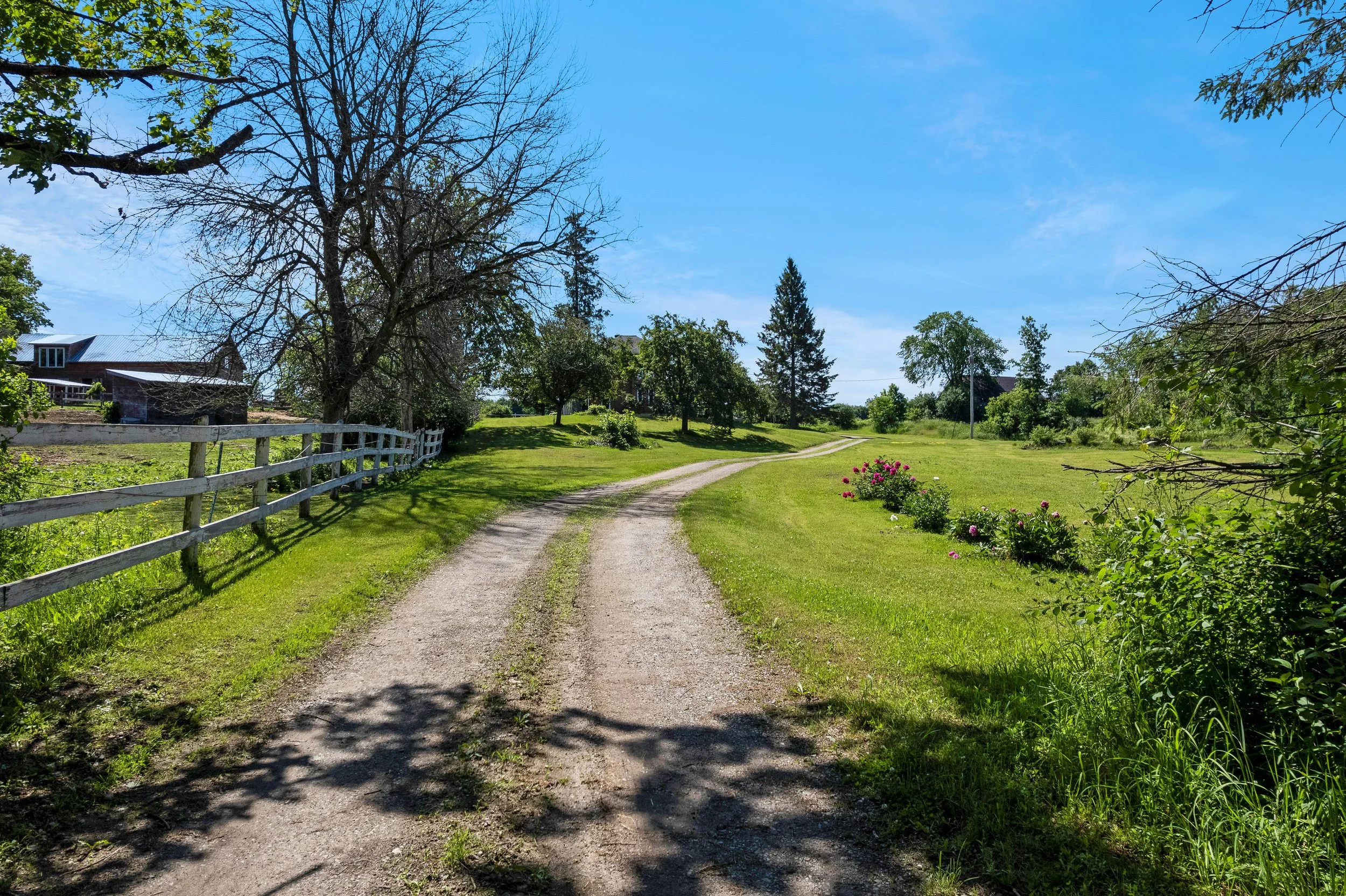 DJI_0226.JPG