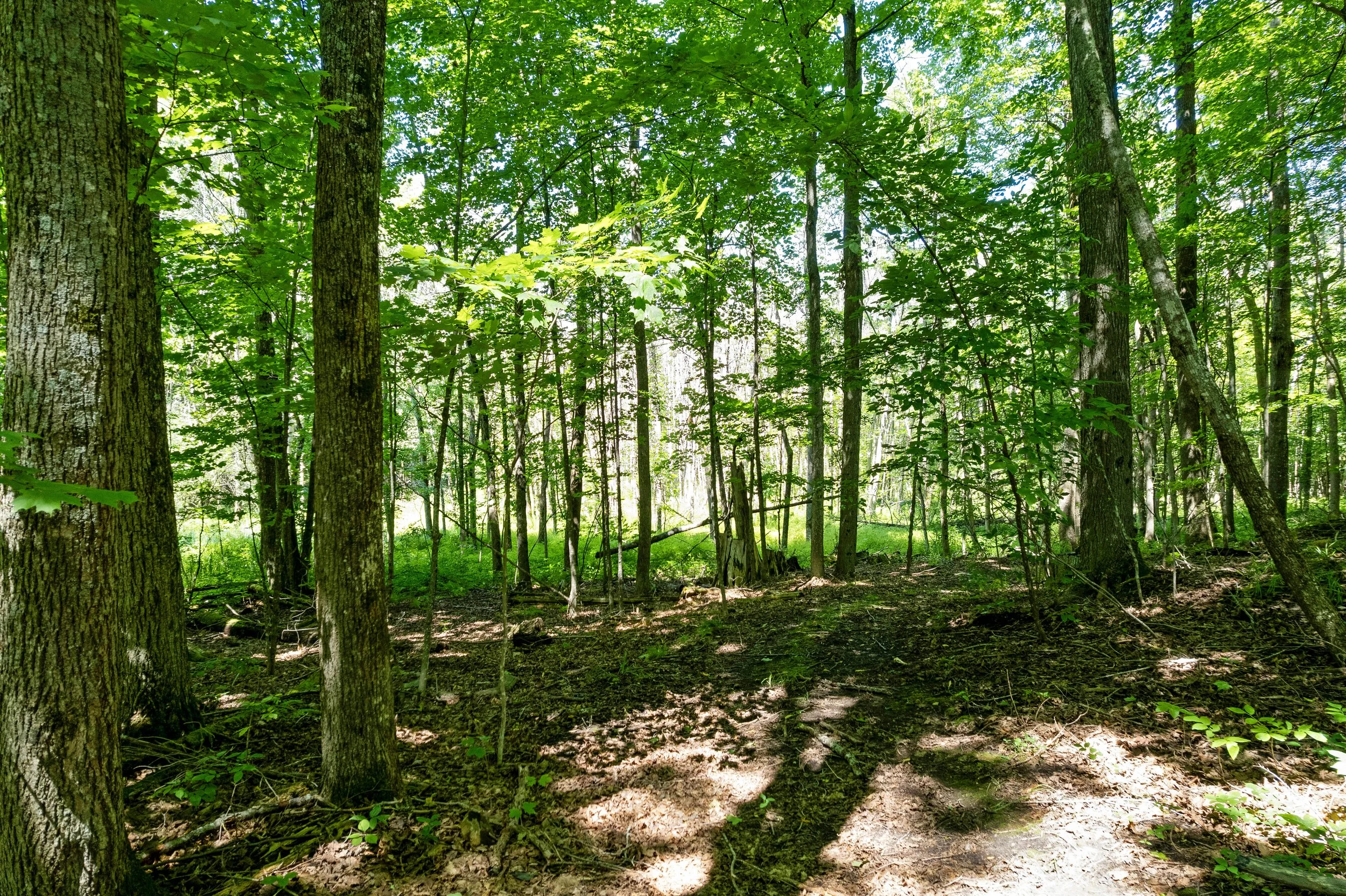 DJI_0058.JPG