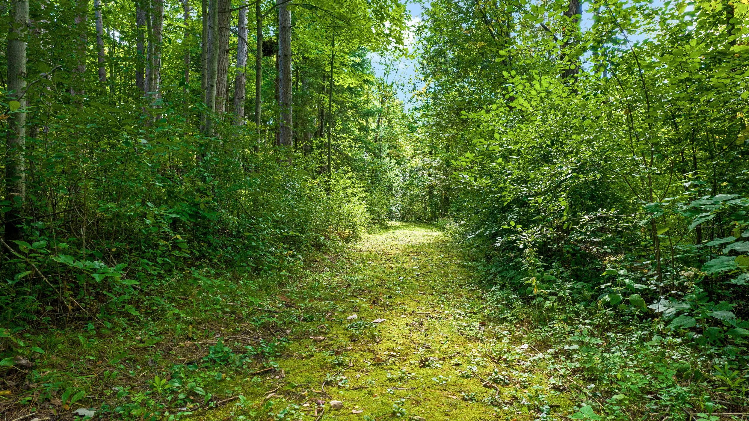 DJI_0228.JPG