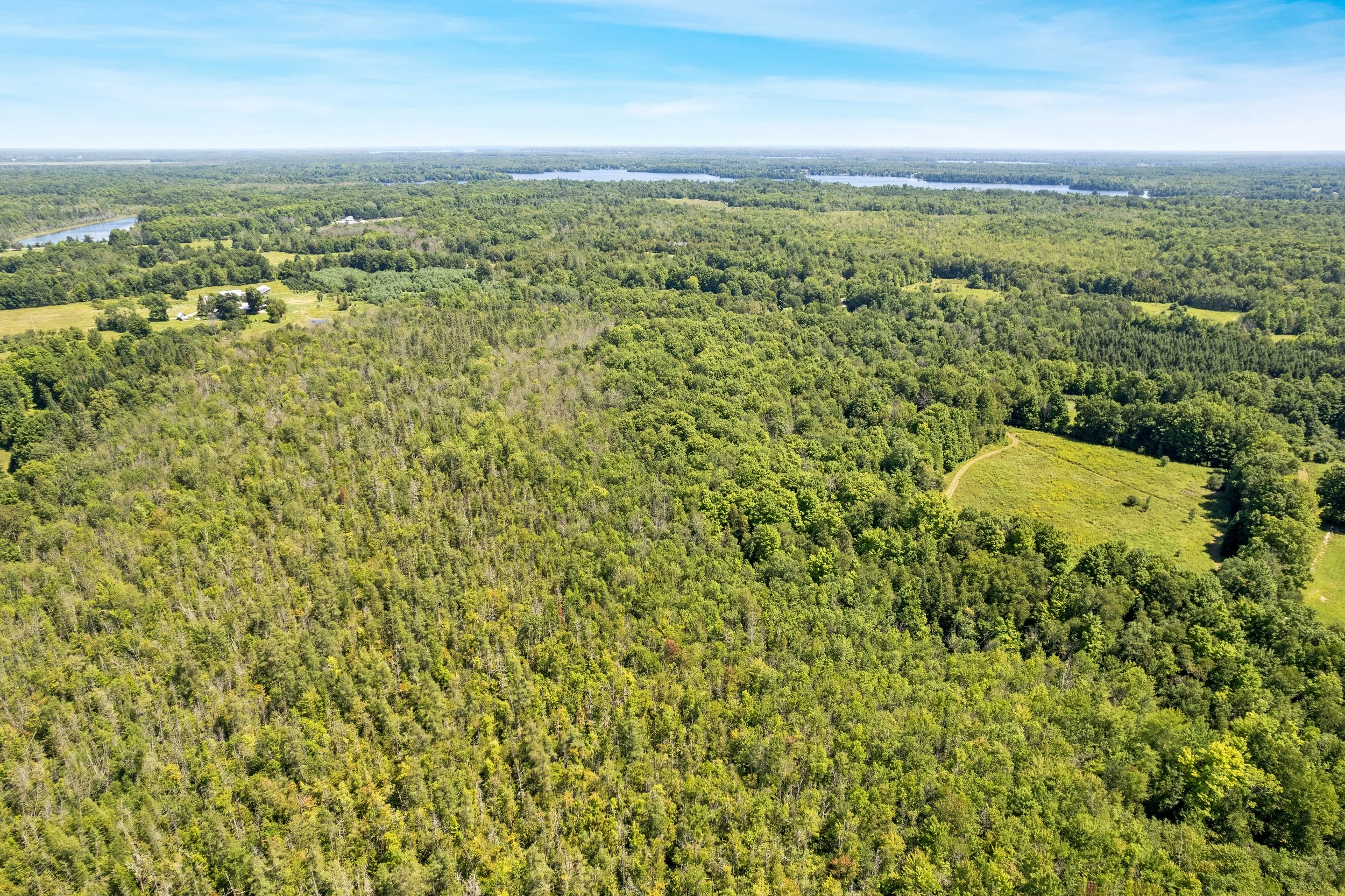 DJI_0385.JPG