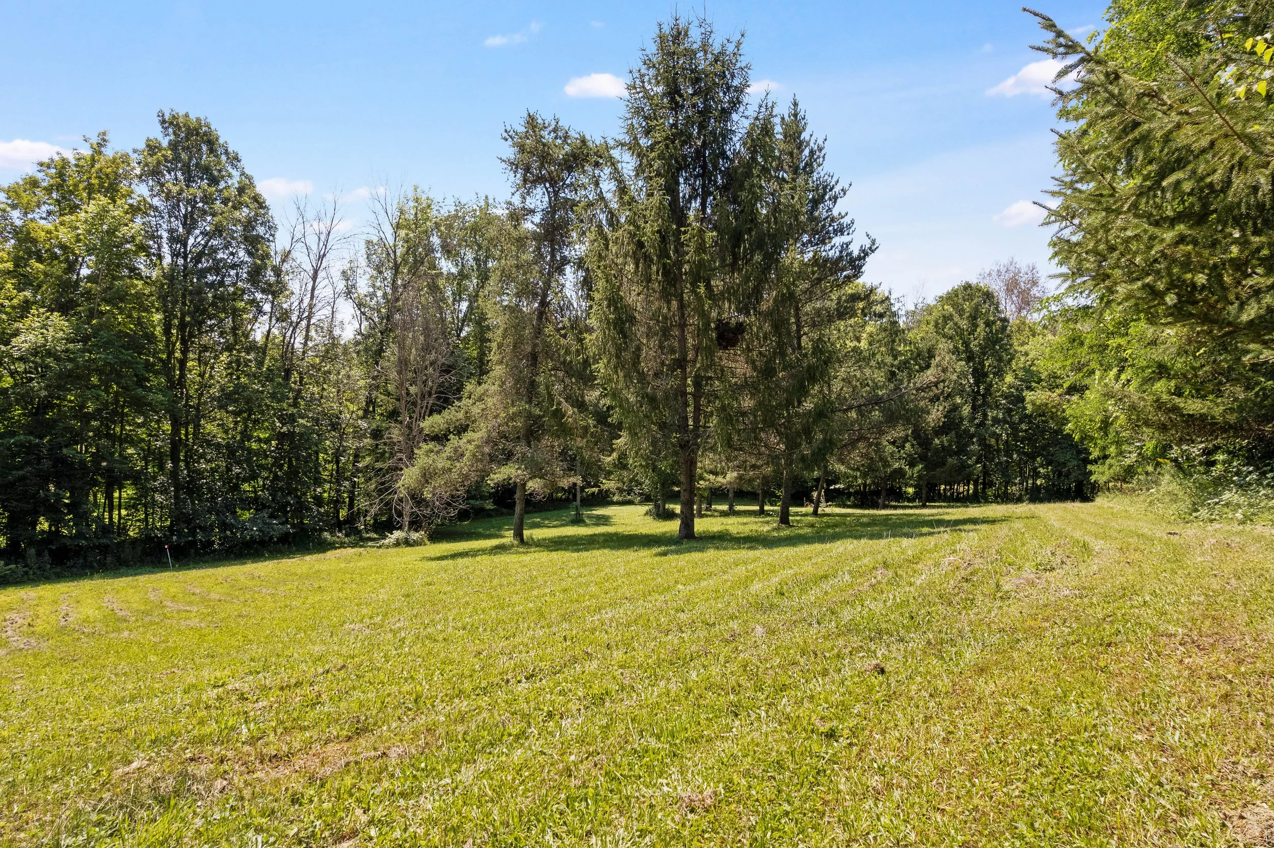 DJI_0081.JPG