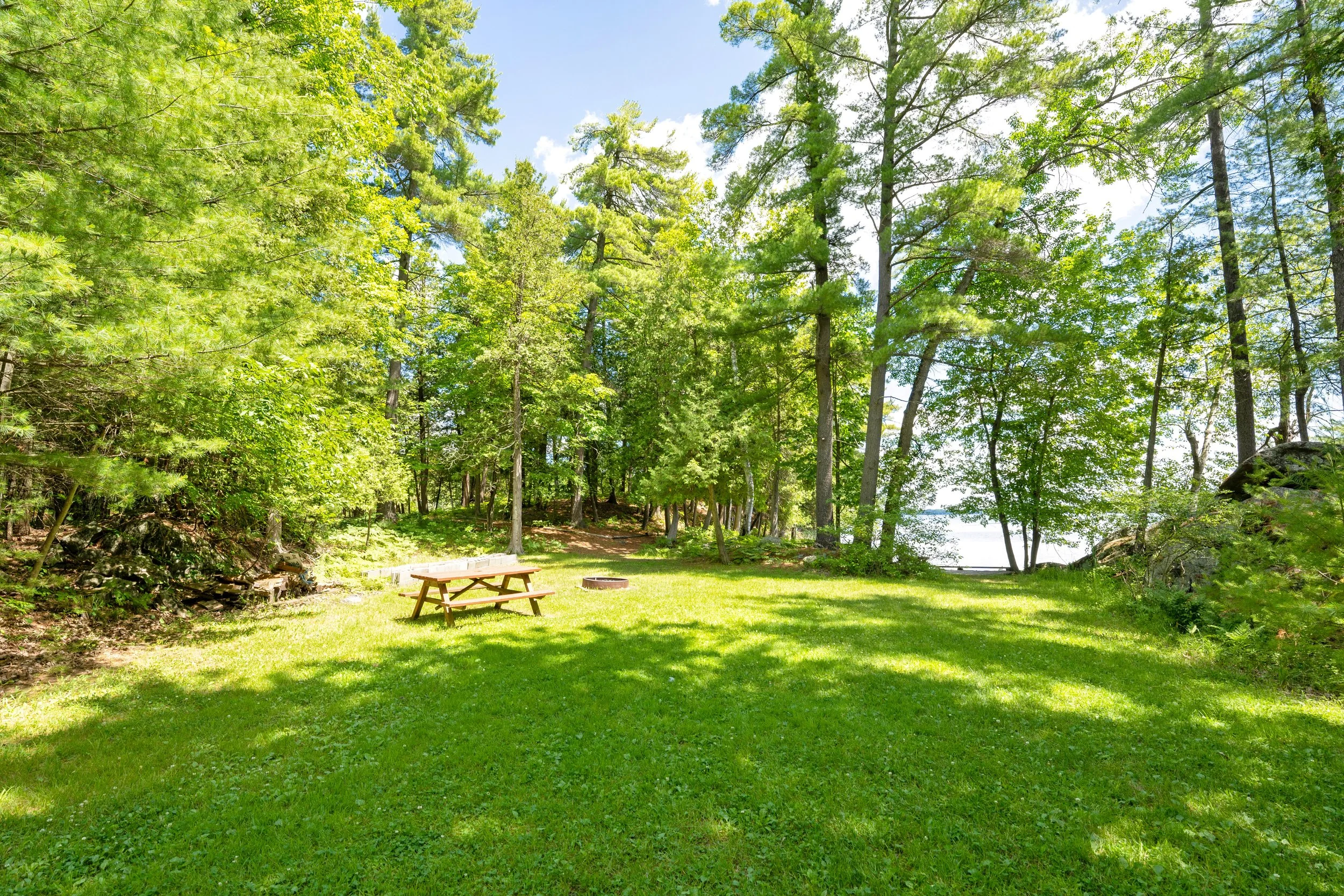 869 McLaren Rd - ground-06934.jpg