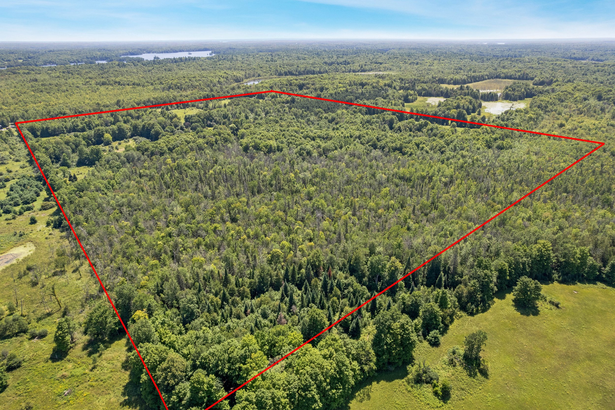 DJI_0360 line.JPG