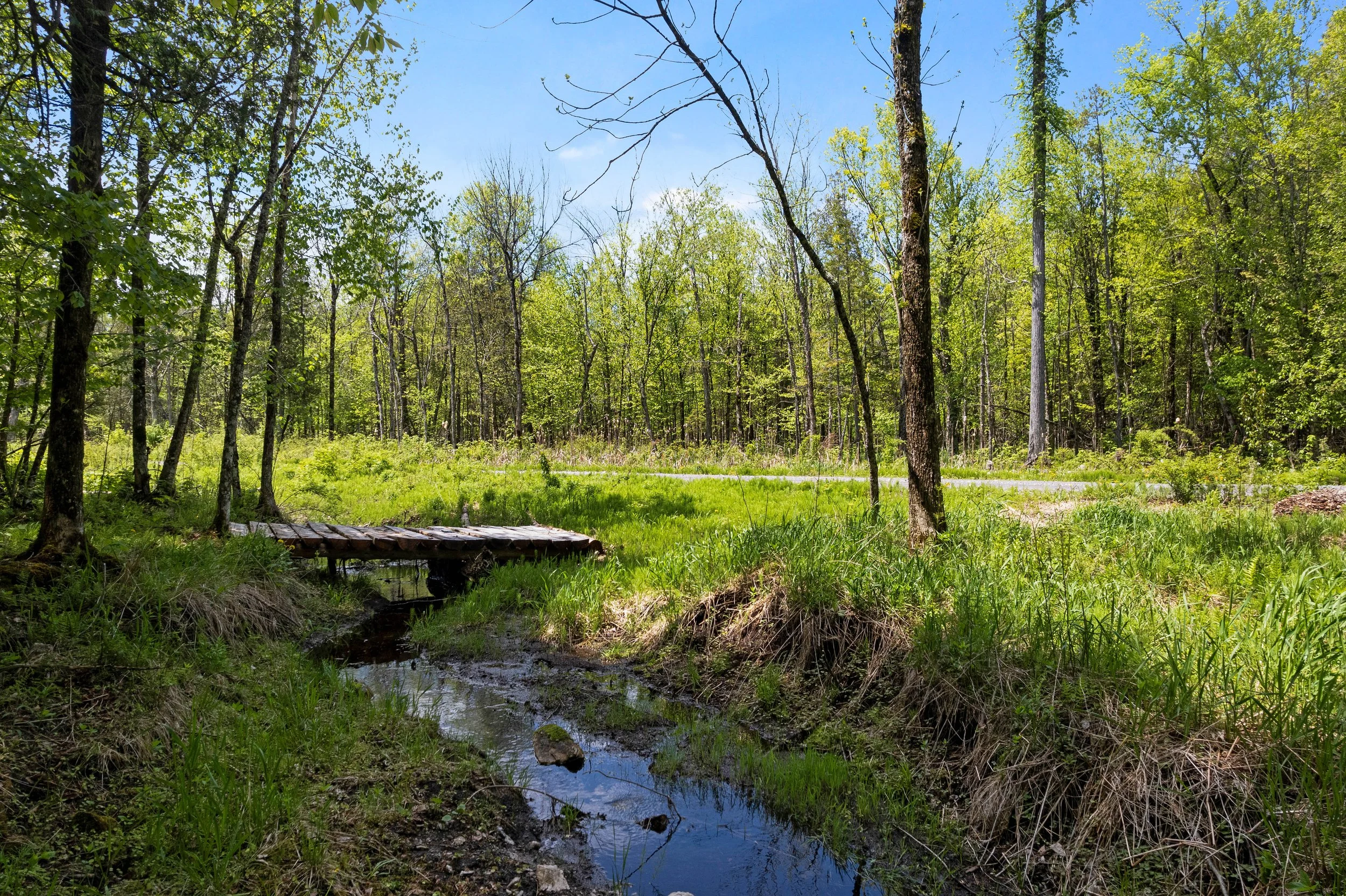 DJI_0276.JPG