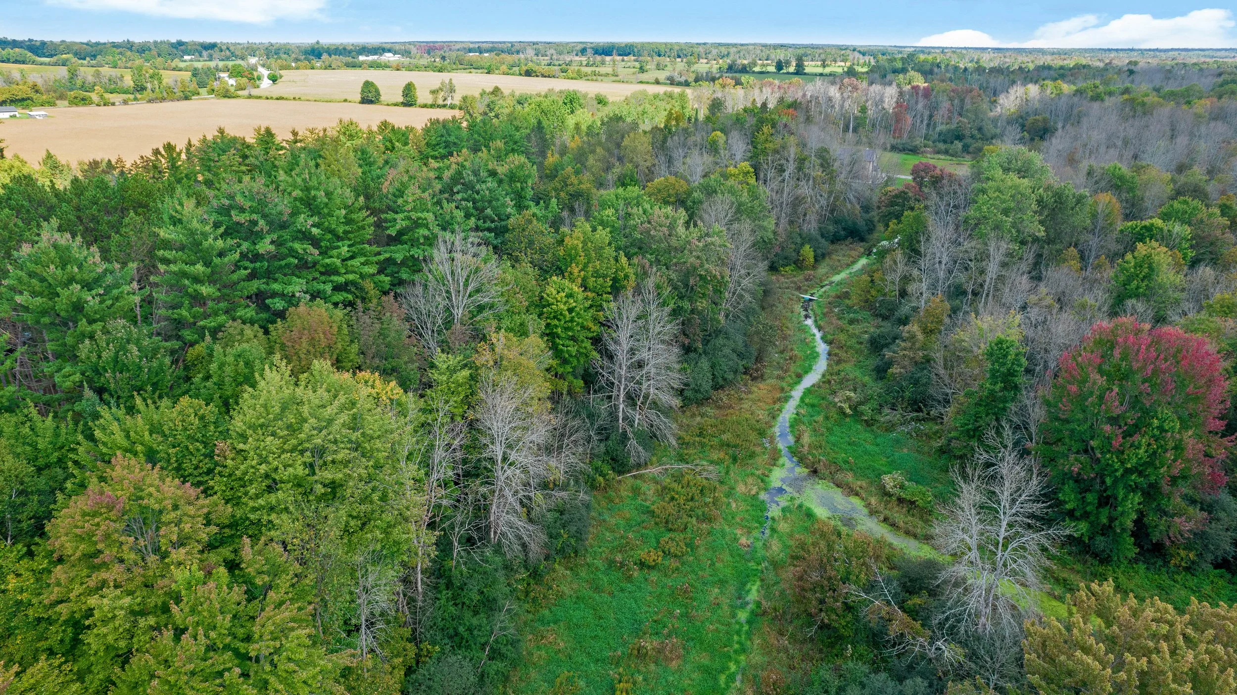 DJI_0058.JPG