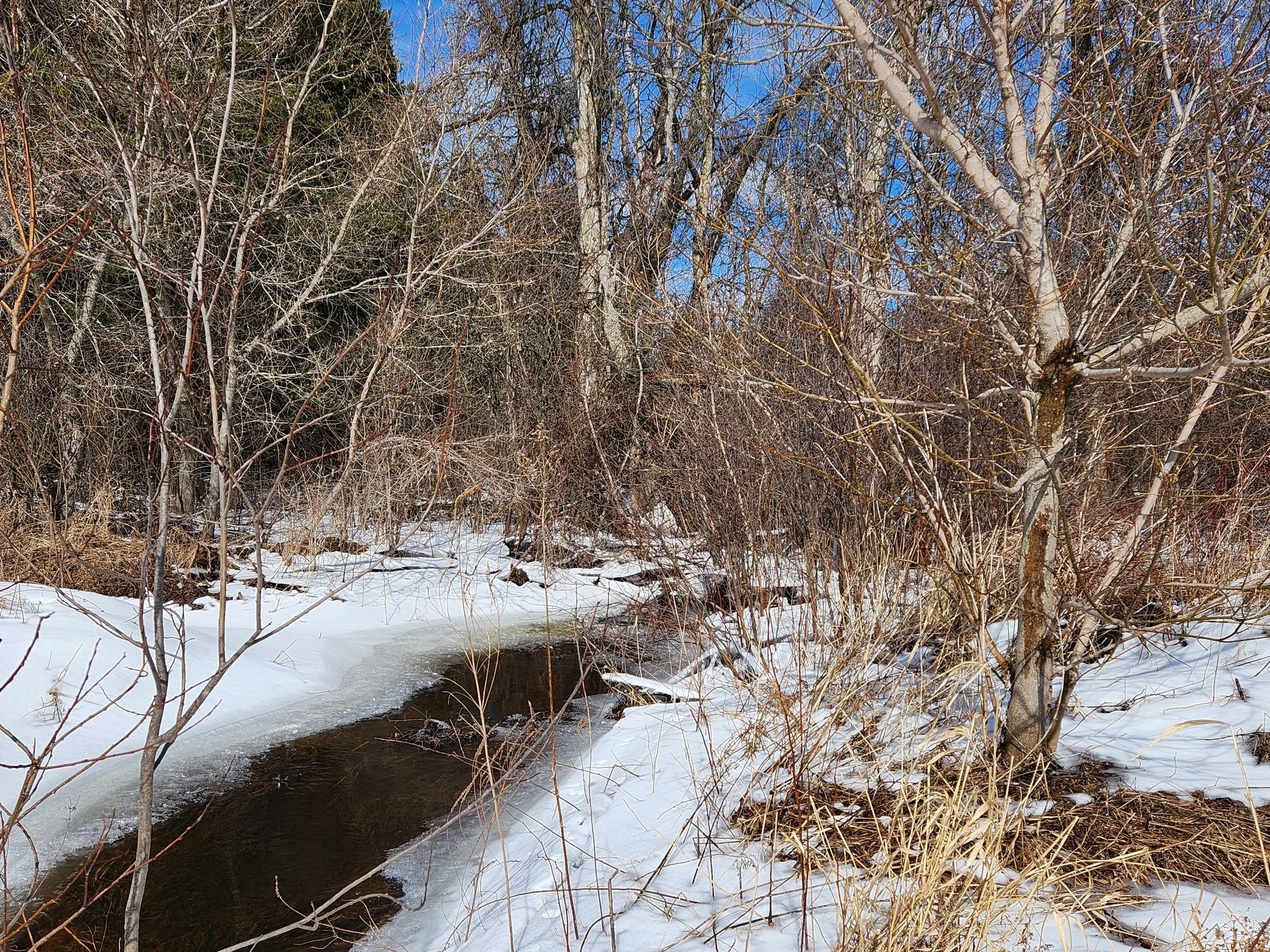20260323_113900.jpg
