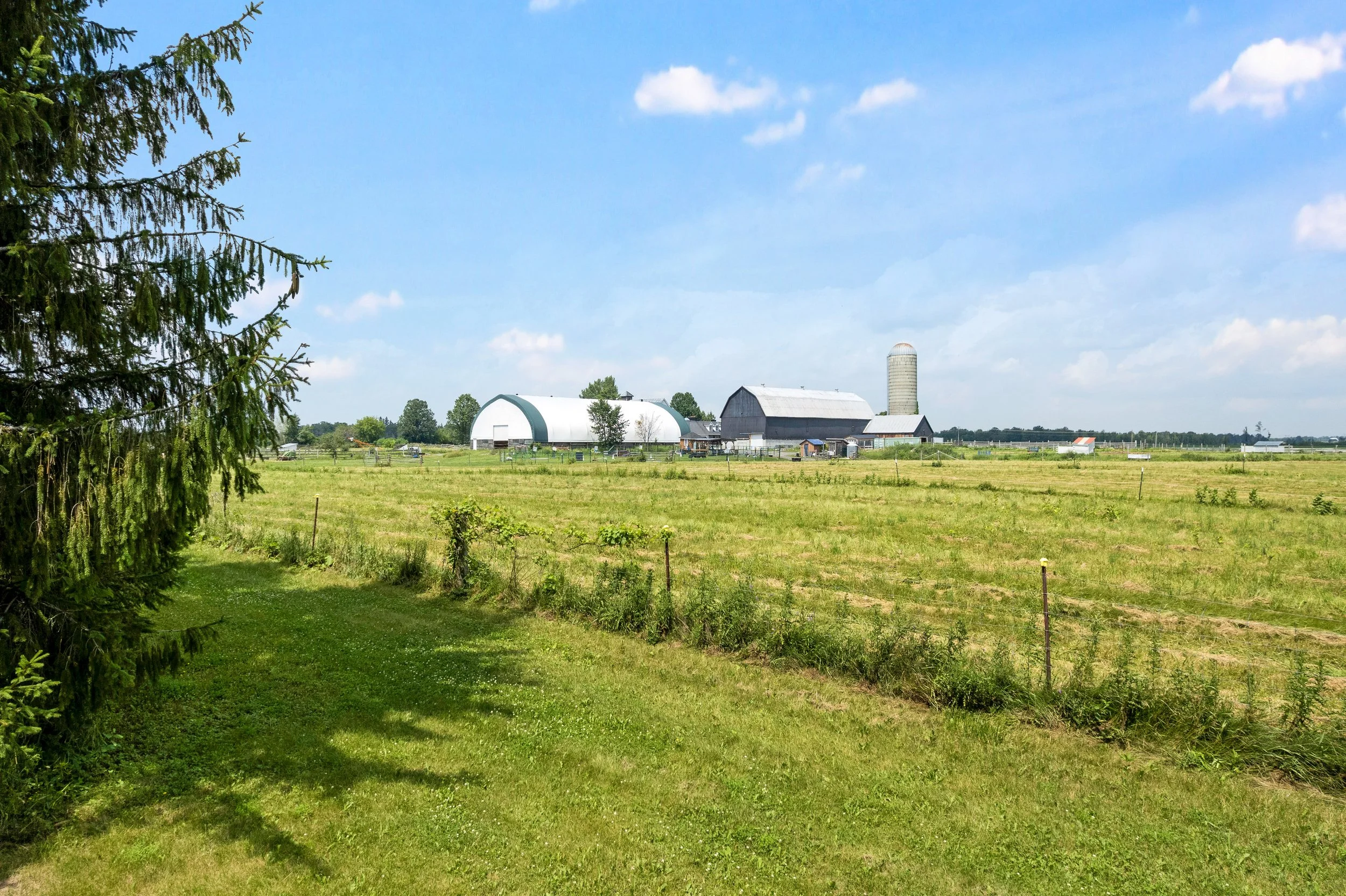 DJI_0131.JPG