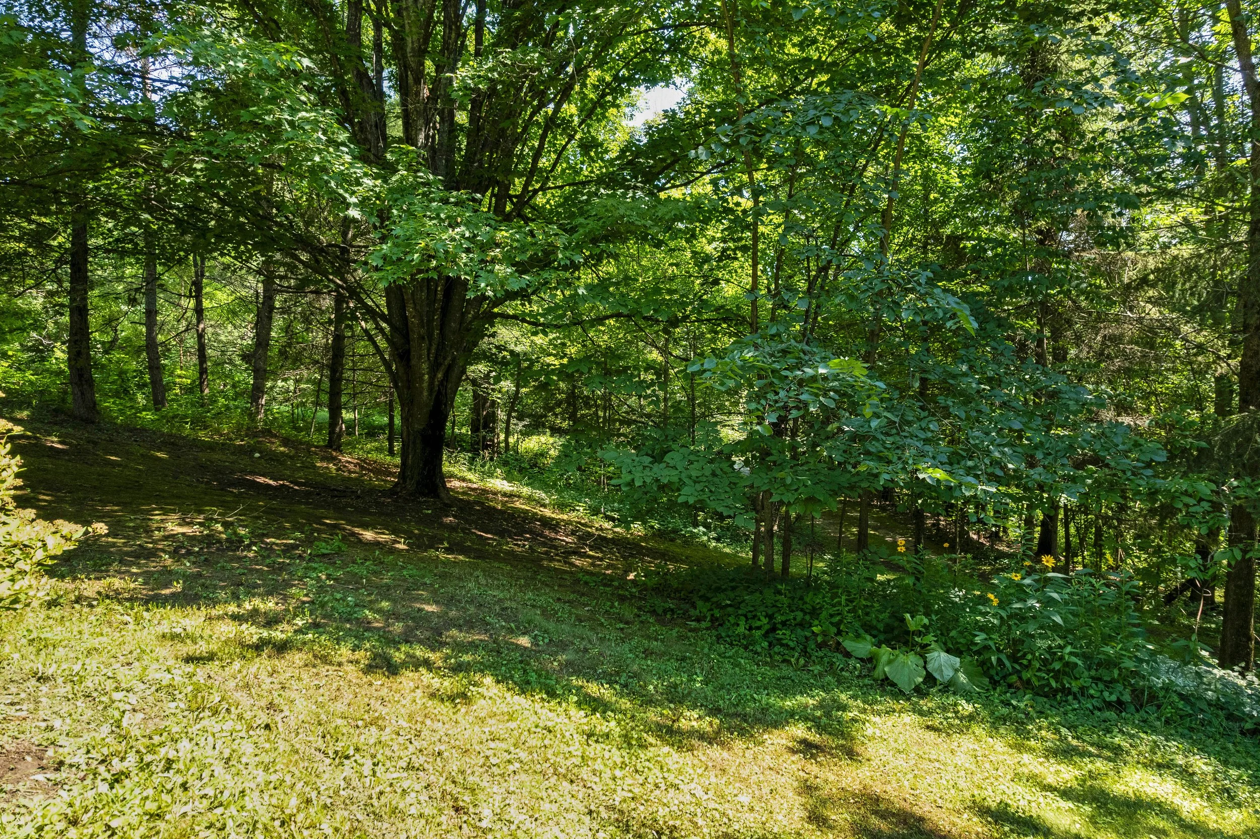 DJI_0308.JPG