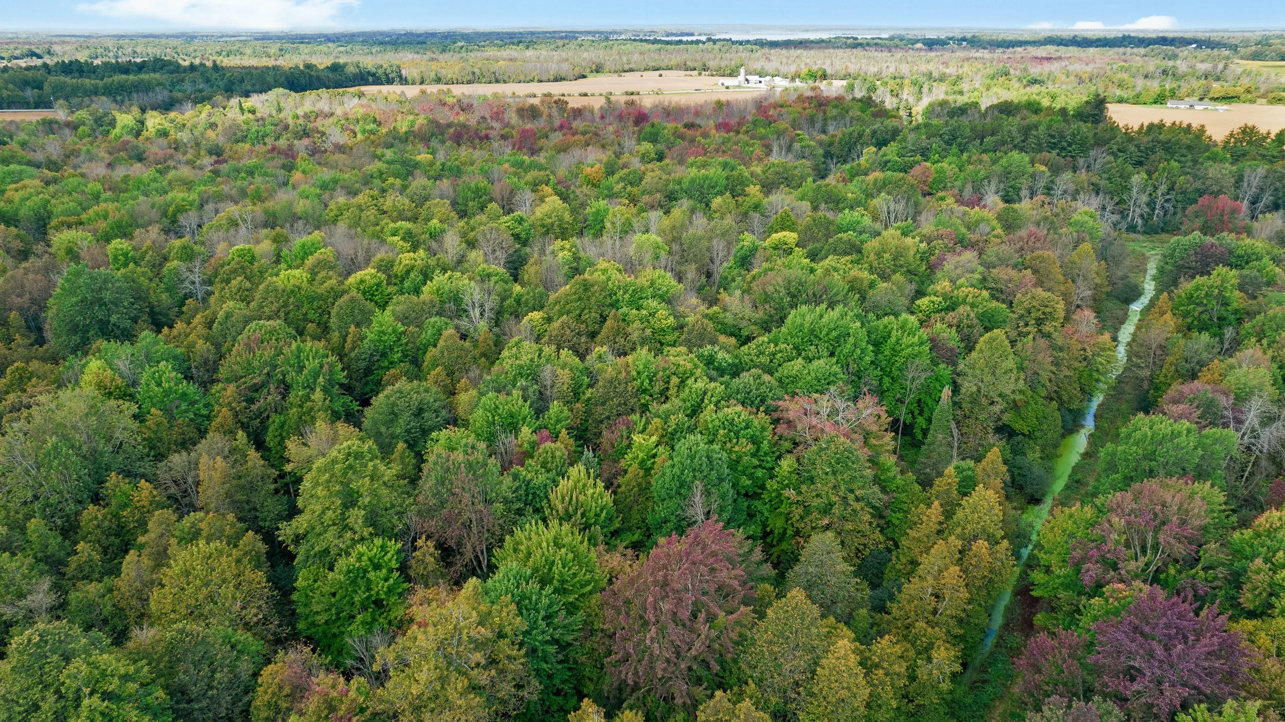 DJI_0055.JPG