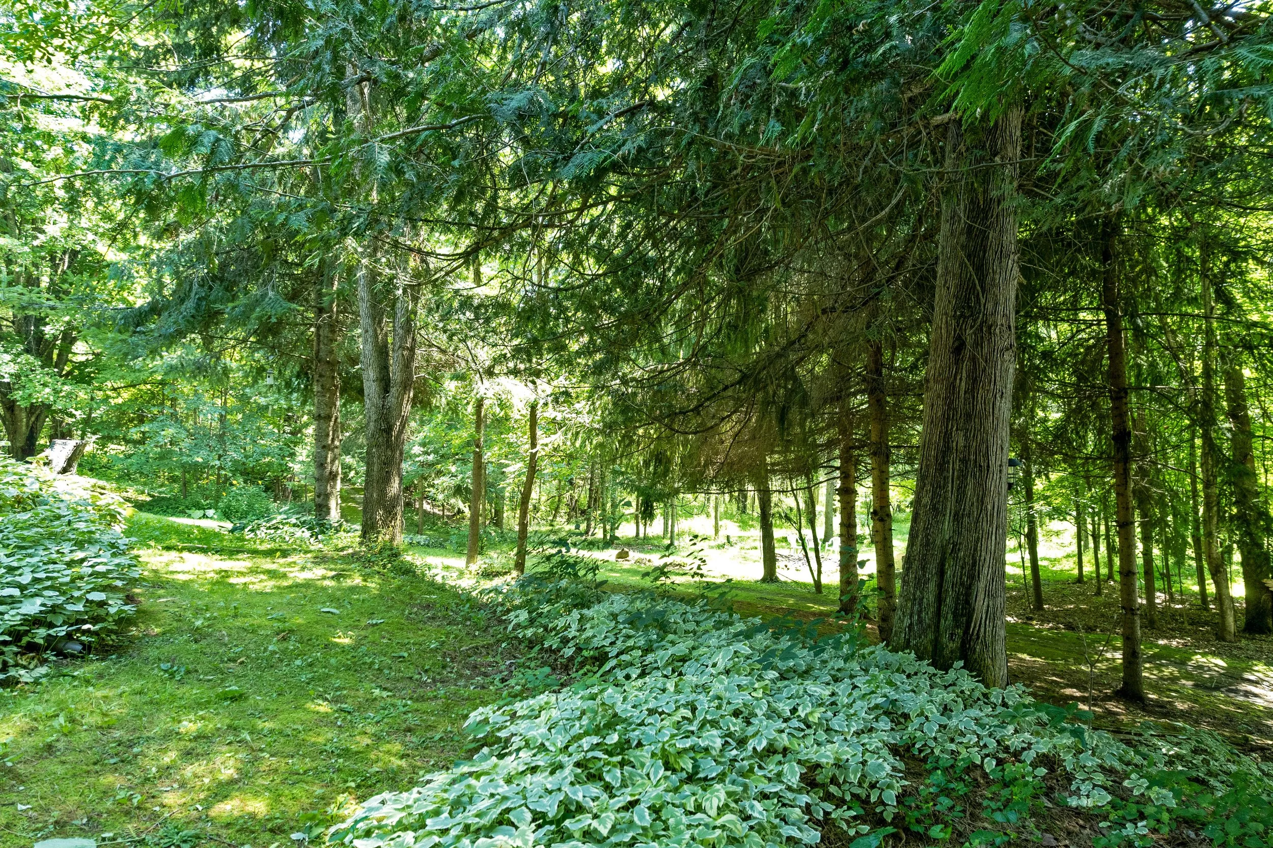 DJI_0276.JPG