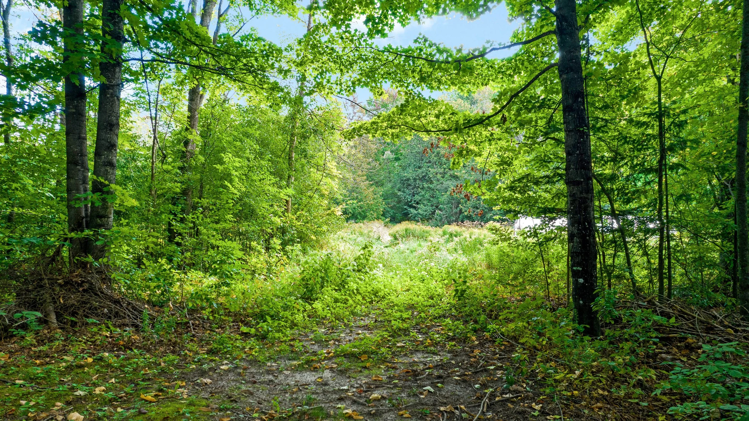 DJI_0245.JPG