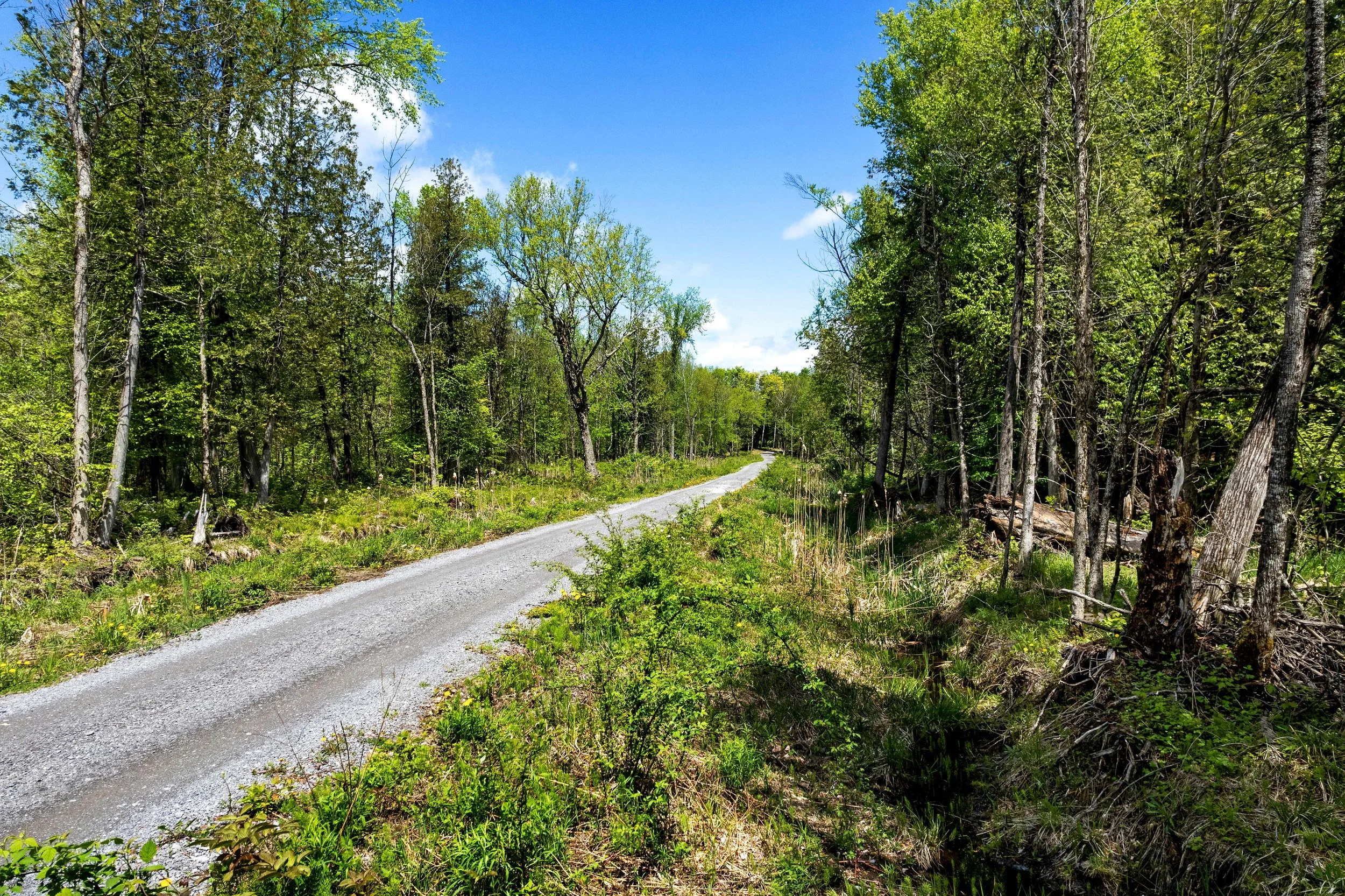 DJI_0261.JPG