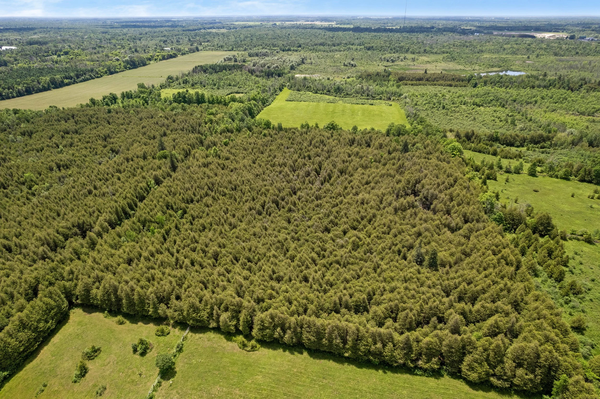 DJI_0515.JPG