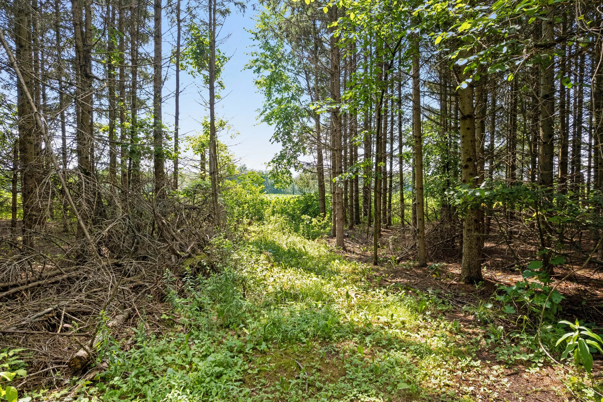 DJI_0125.JPG