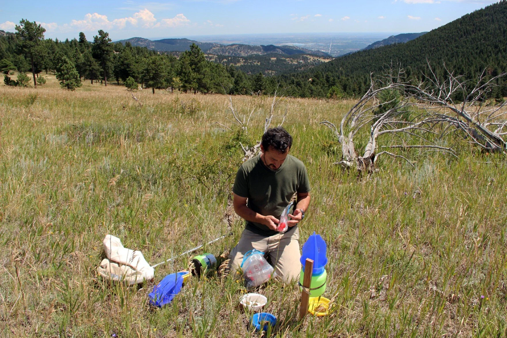 Field work 2