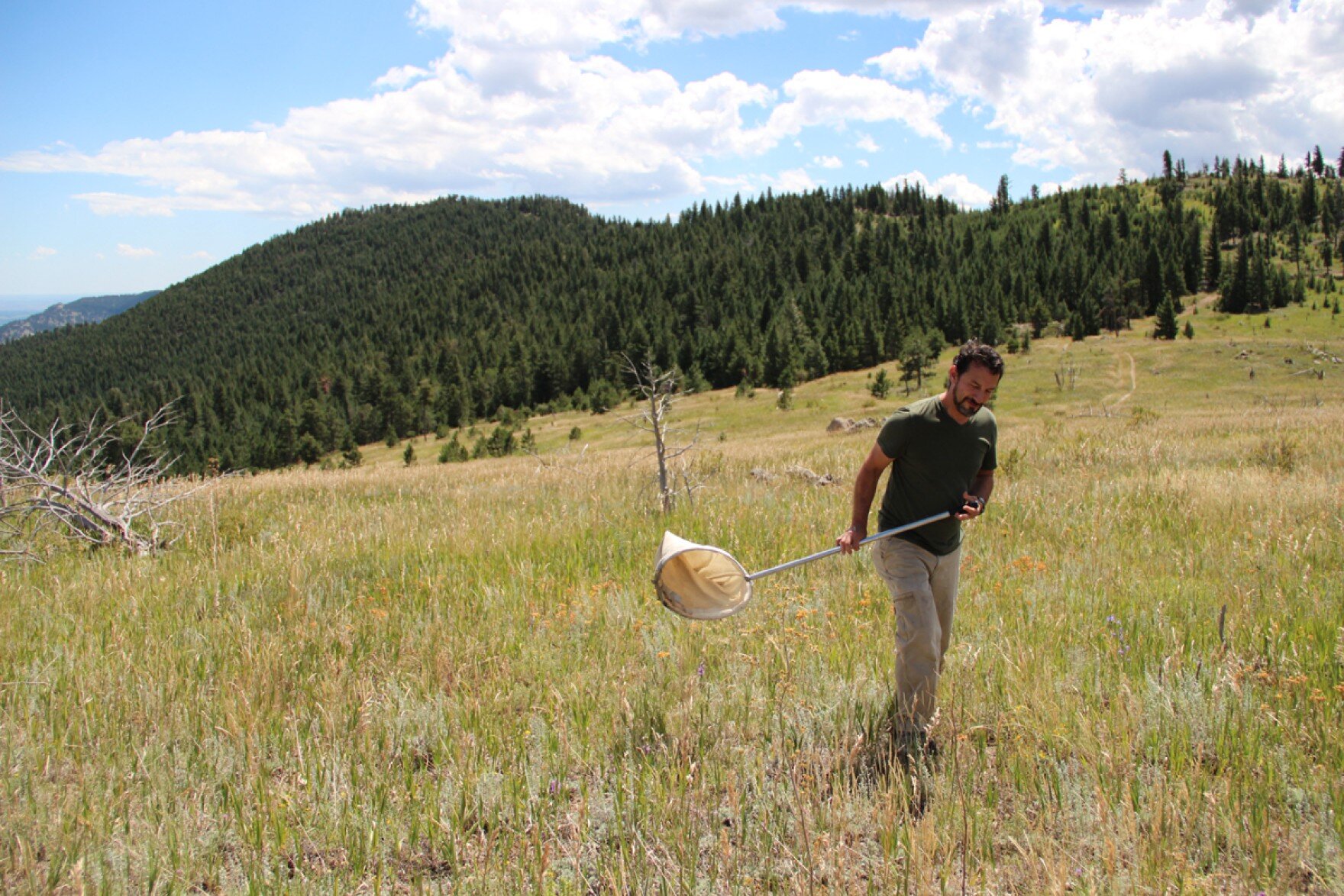 Field work