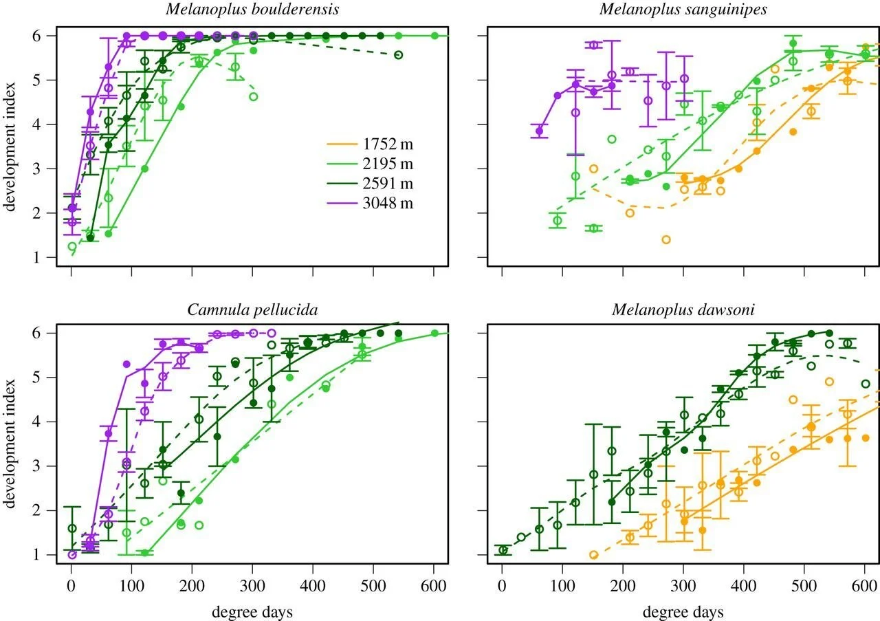Grasshopper development index