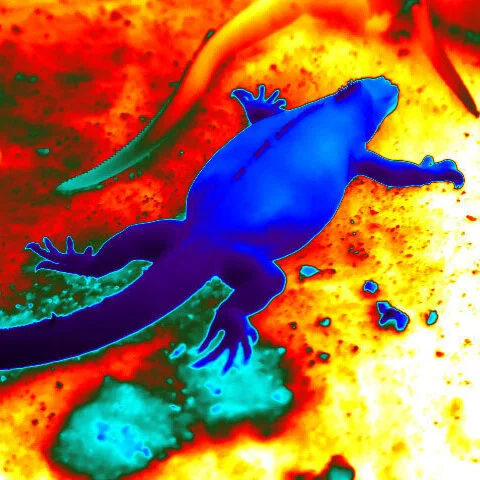 Infrared science