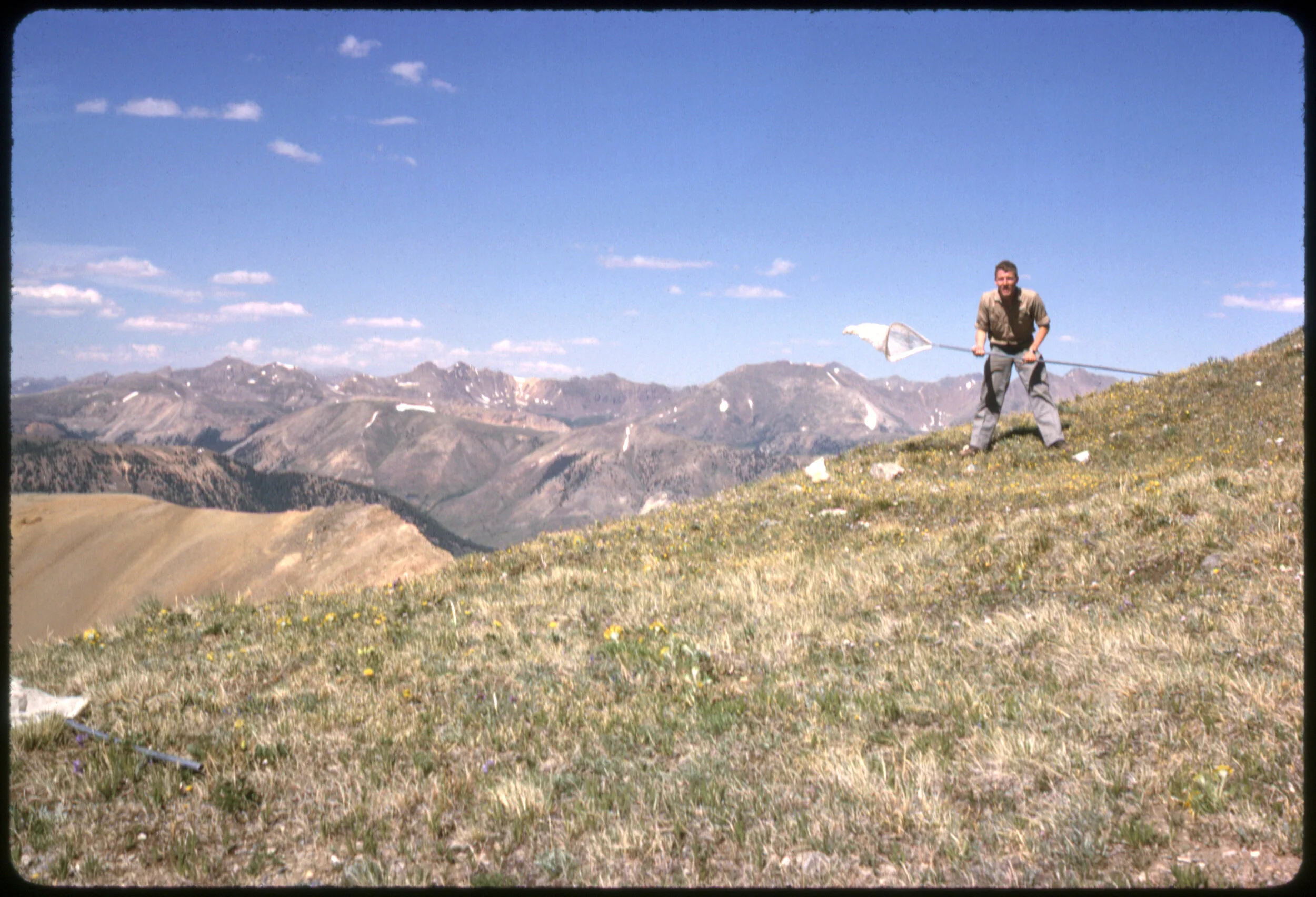 Historical field photo 1963