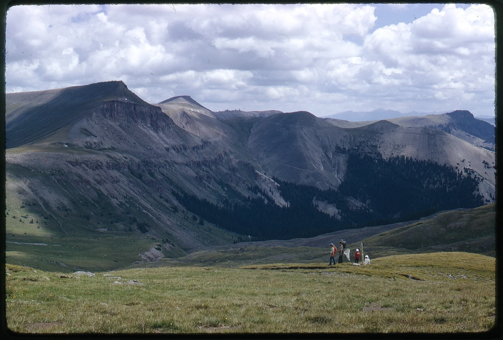 Butterfly hunters 1974