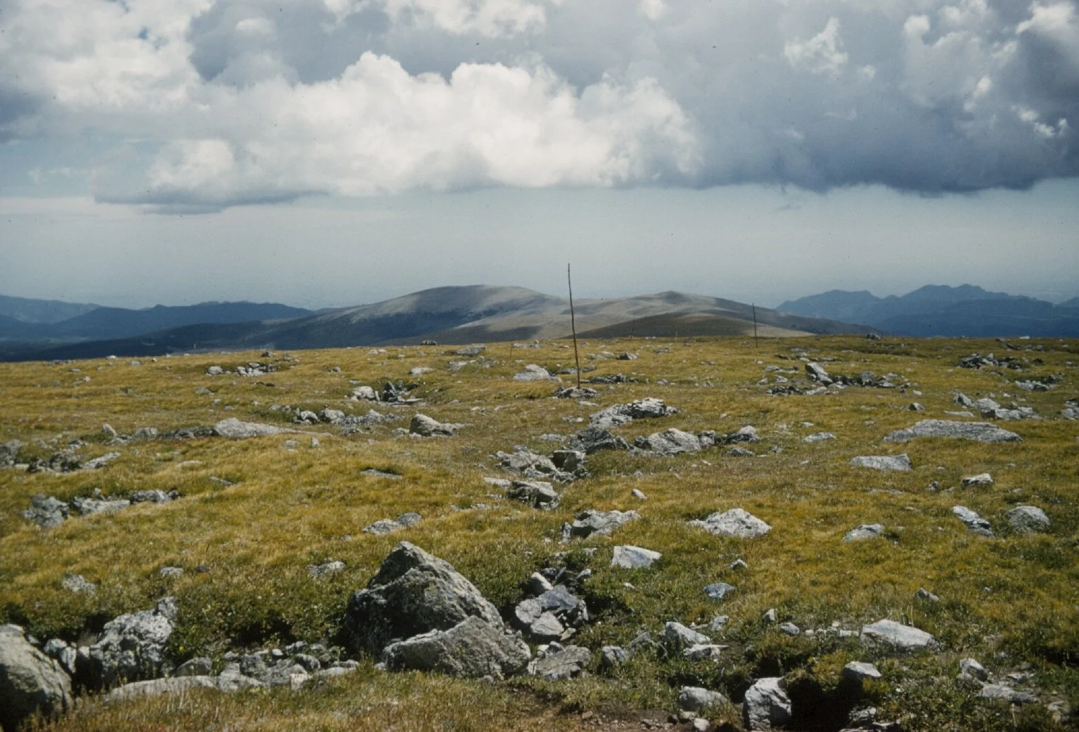 Niwot Ridge 2019