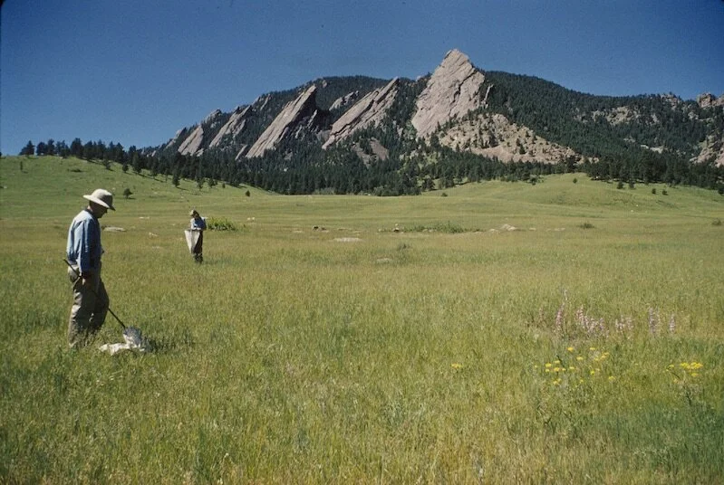 Chautauqua Mesa