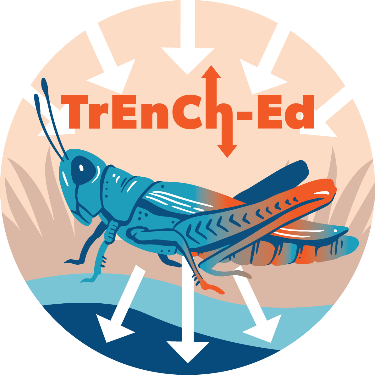 TrEnCh-Ed logo