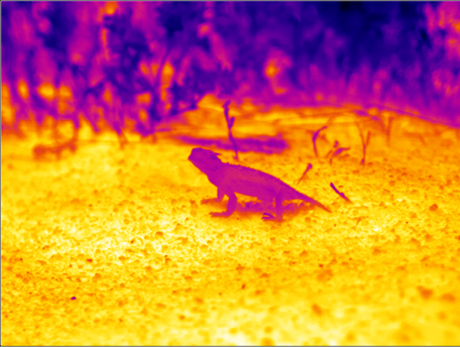 Thermal ecology