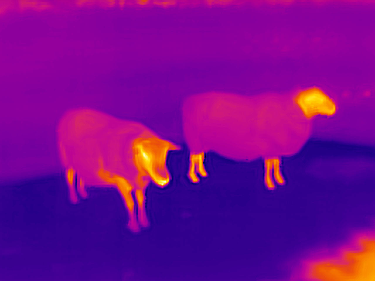 IR image 2
