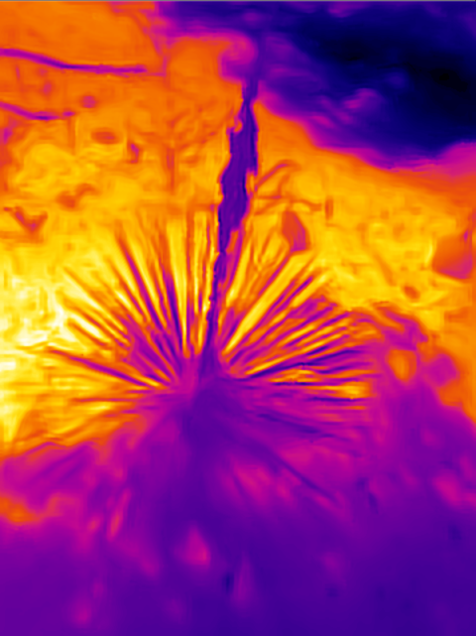 IR image 4