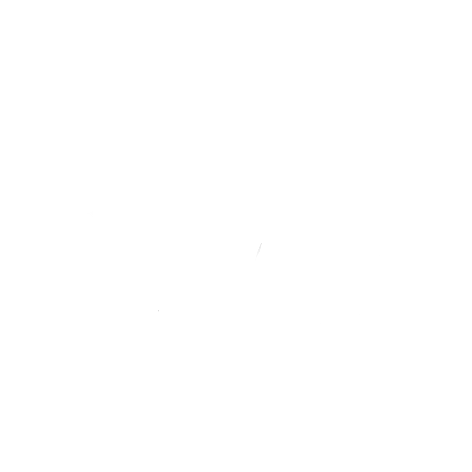 Niche Therapy LLC