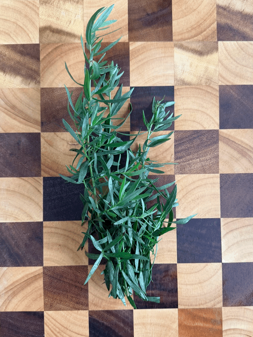 Russian Tarragon