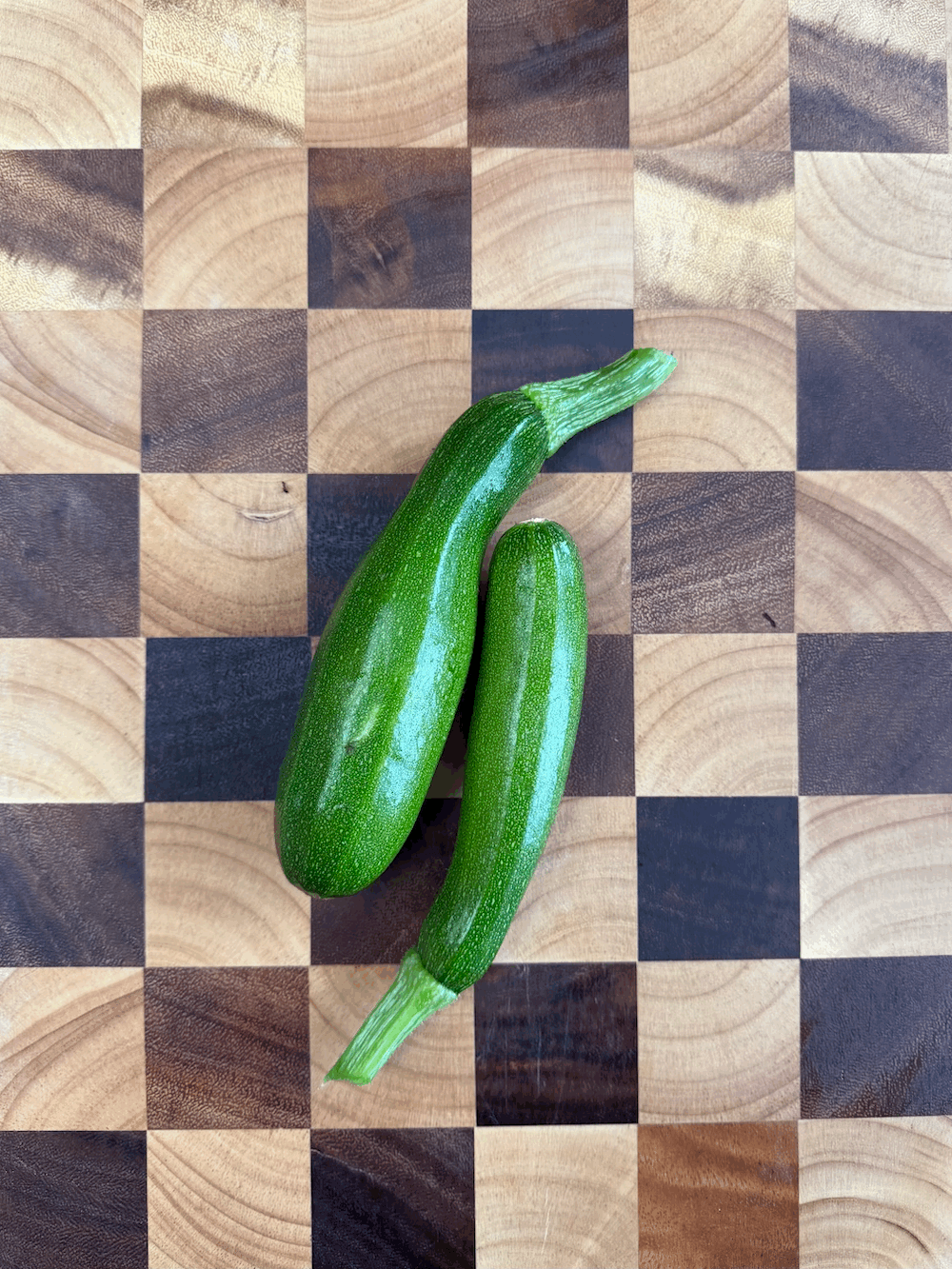 Black Beauty Zucchini