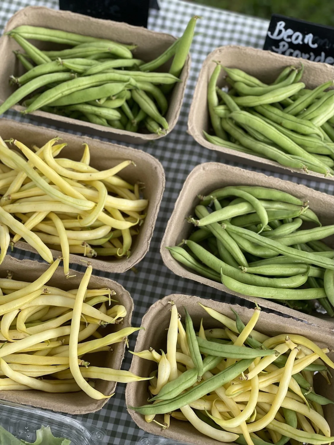 Fresh, organic green beans from Sweet Ring Farm in Traverse City, Michigan