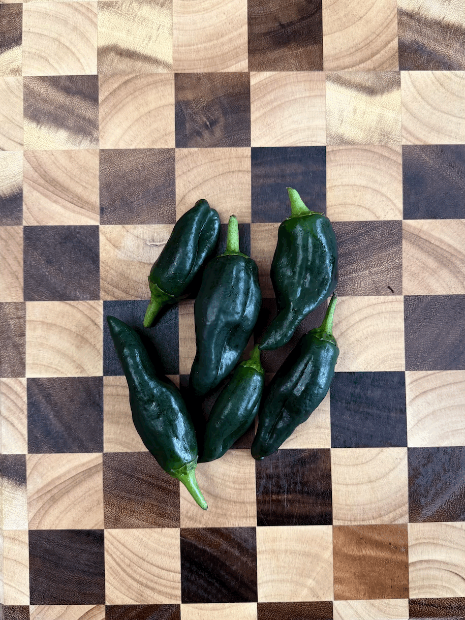 Poblano Peppers