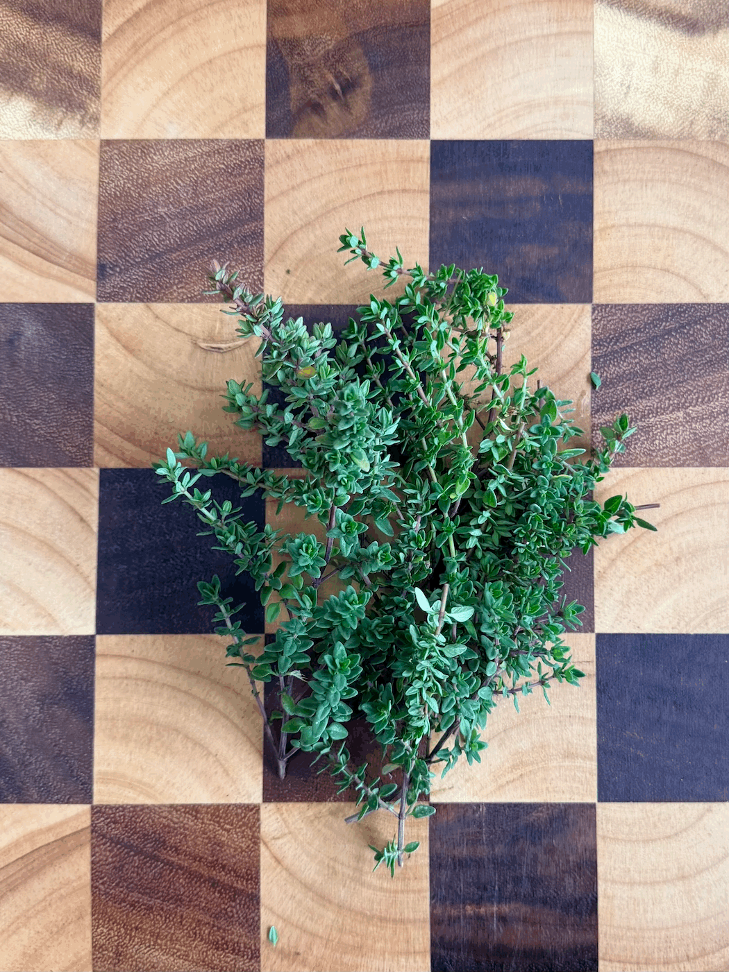 English Thyme