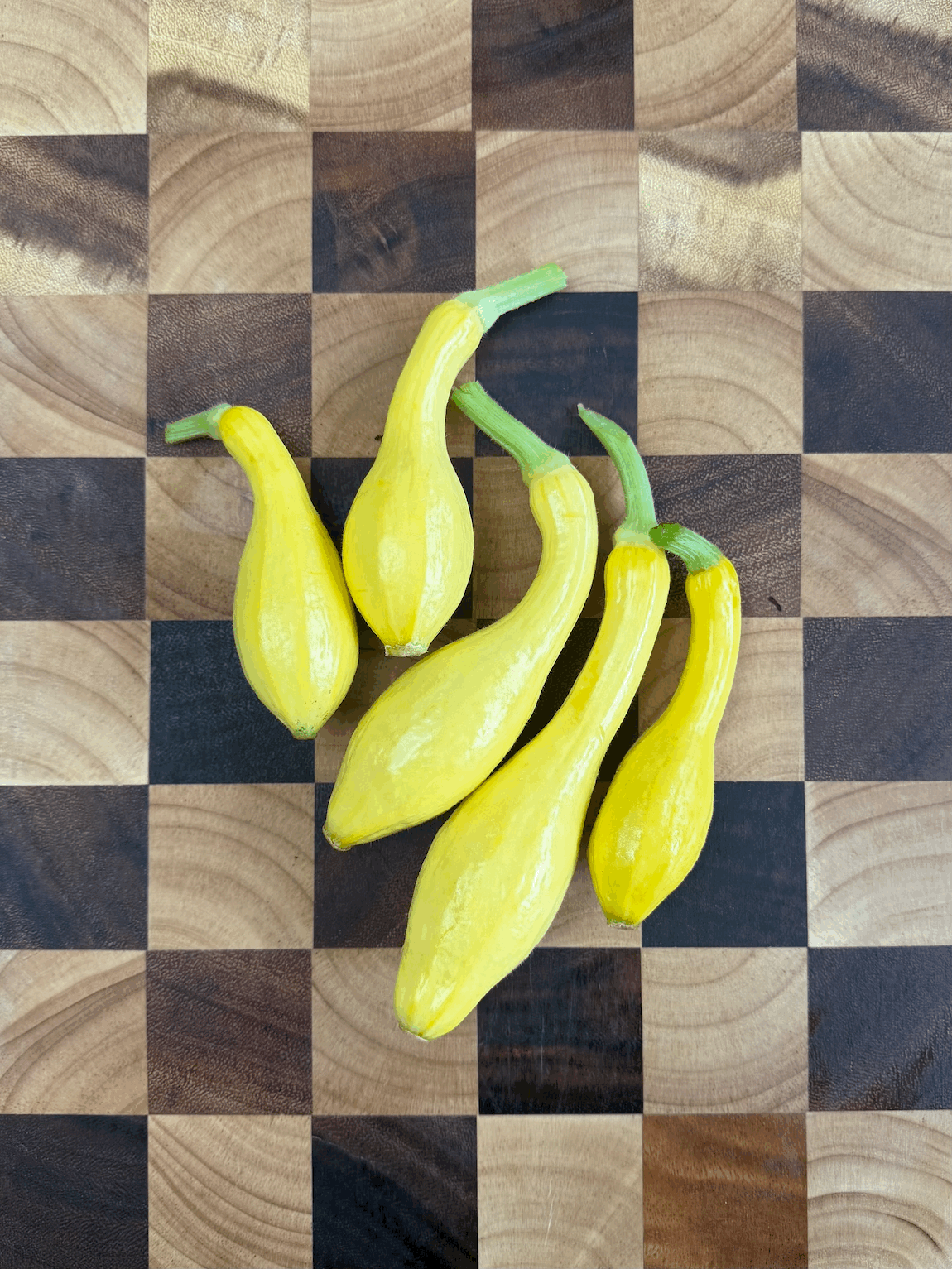 Crookneck Yellow Squash