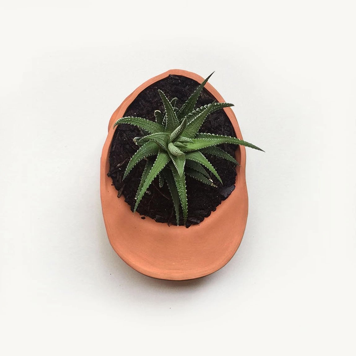 Medium Hat Planter.jpeg