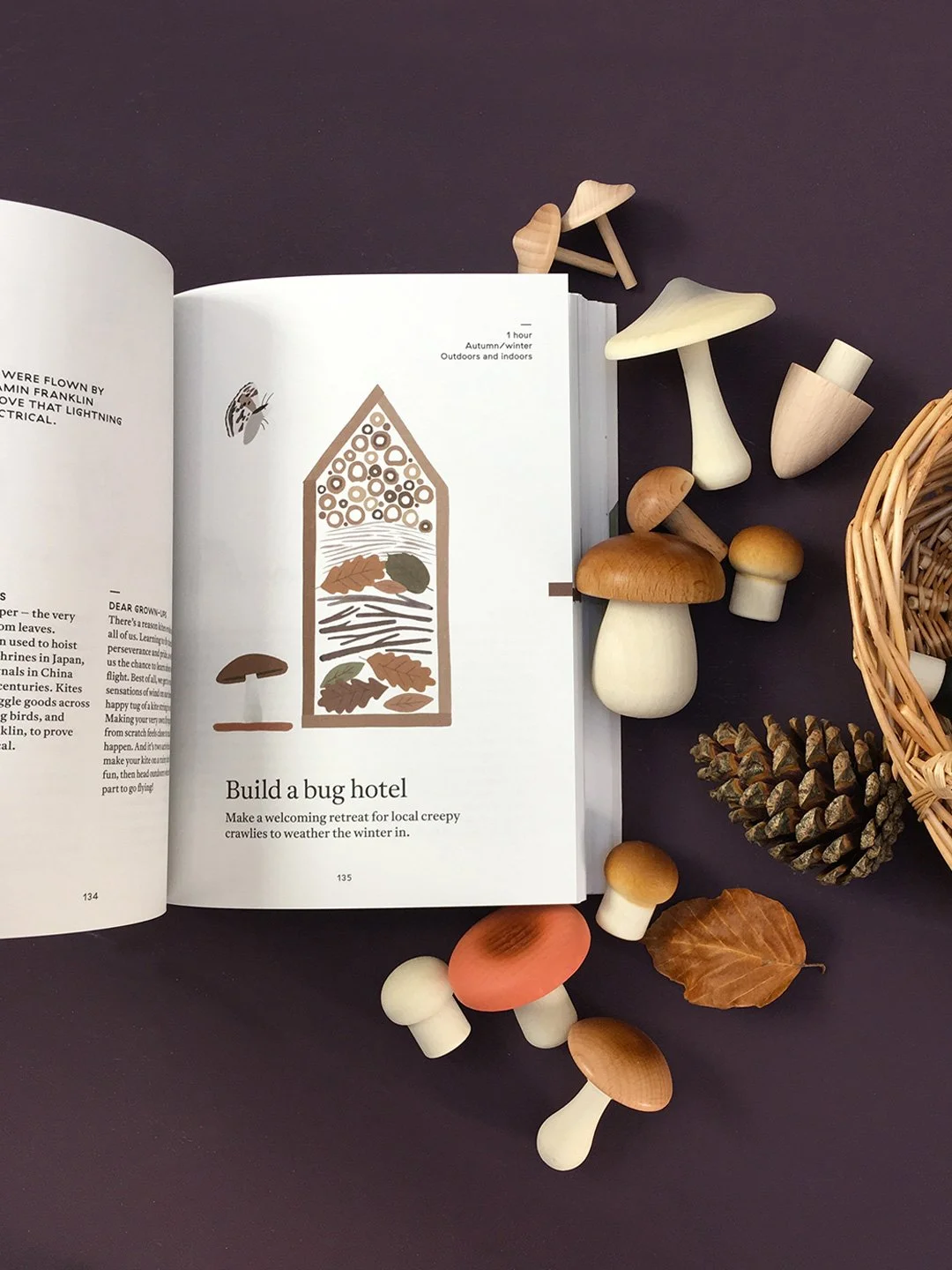 The Nature of Play Book for Kids.jpeg