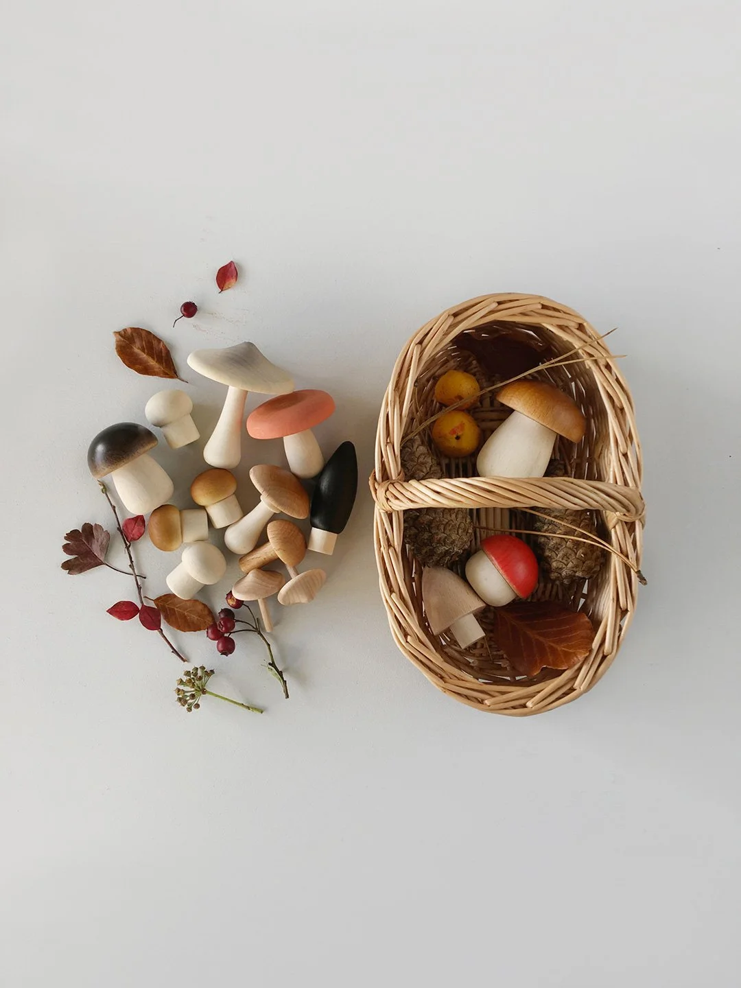 Forest Mushrooms Basket.jpeg