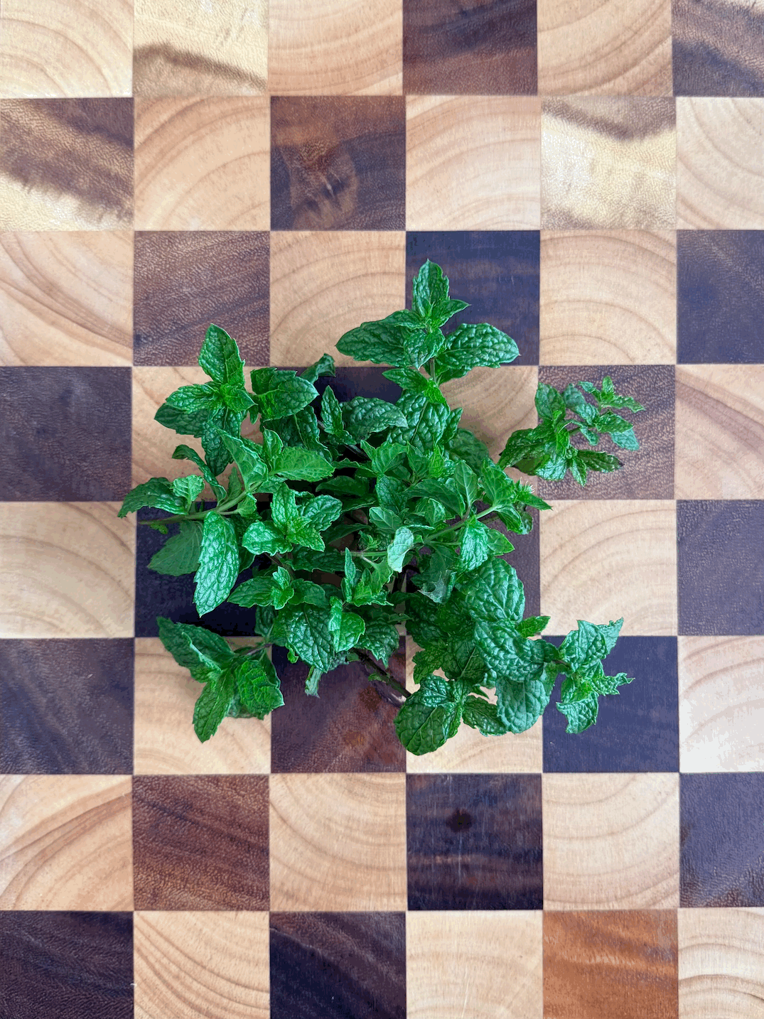 Spearmint