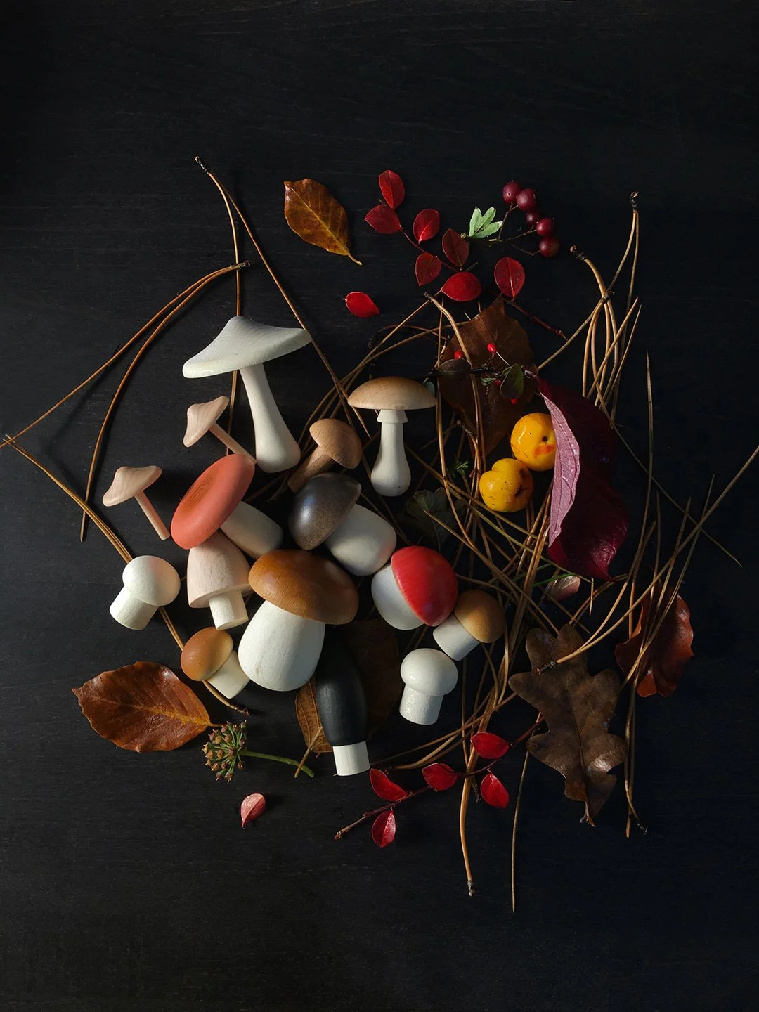 Forest Mushrooms Basket by Moon Picnic.jpeg
