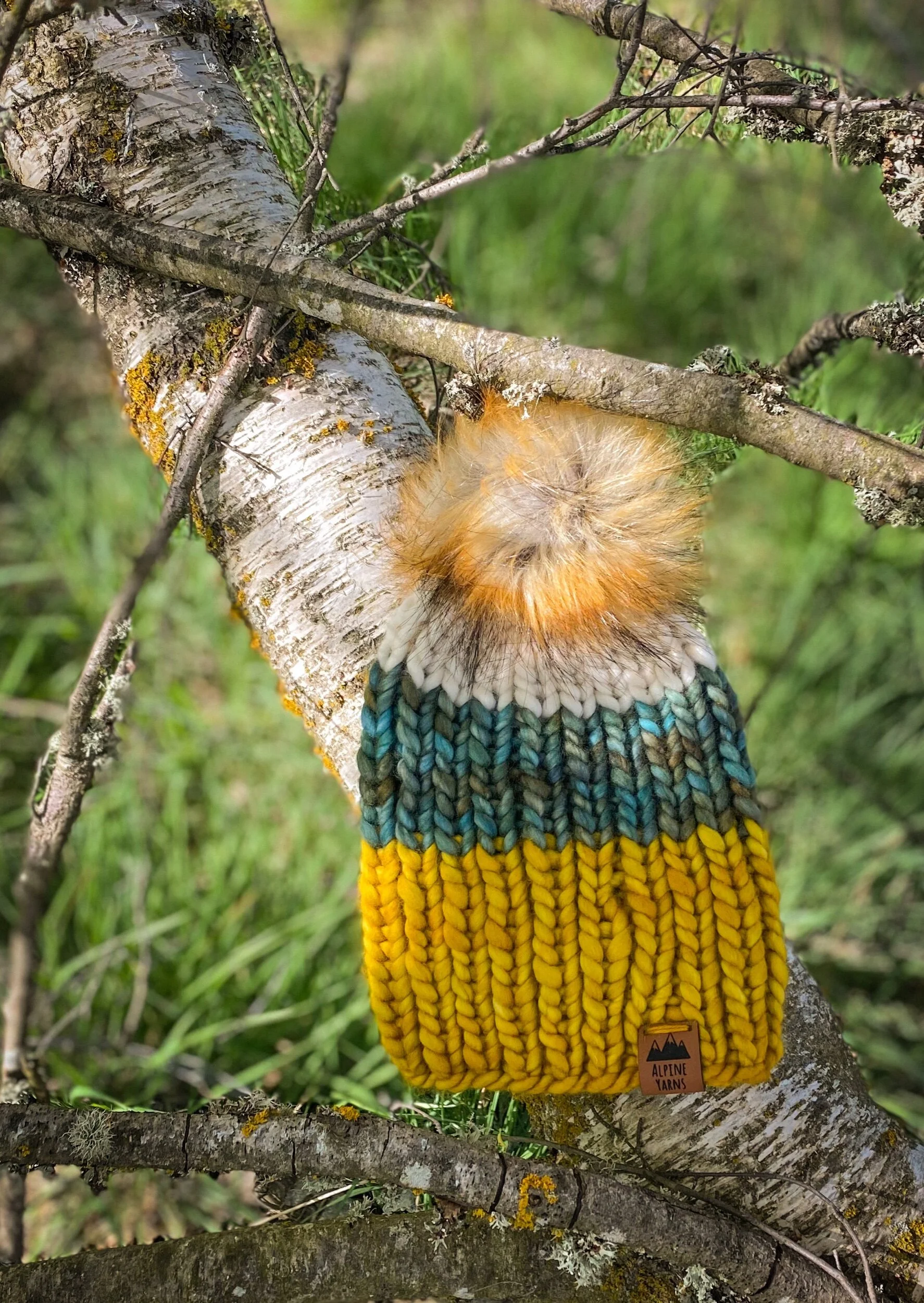 13B5D4F8-7239-4FB9-8521-B97529B38EE7