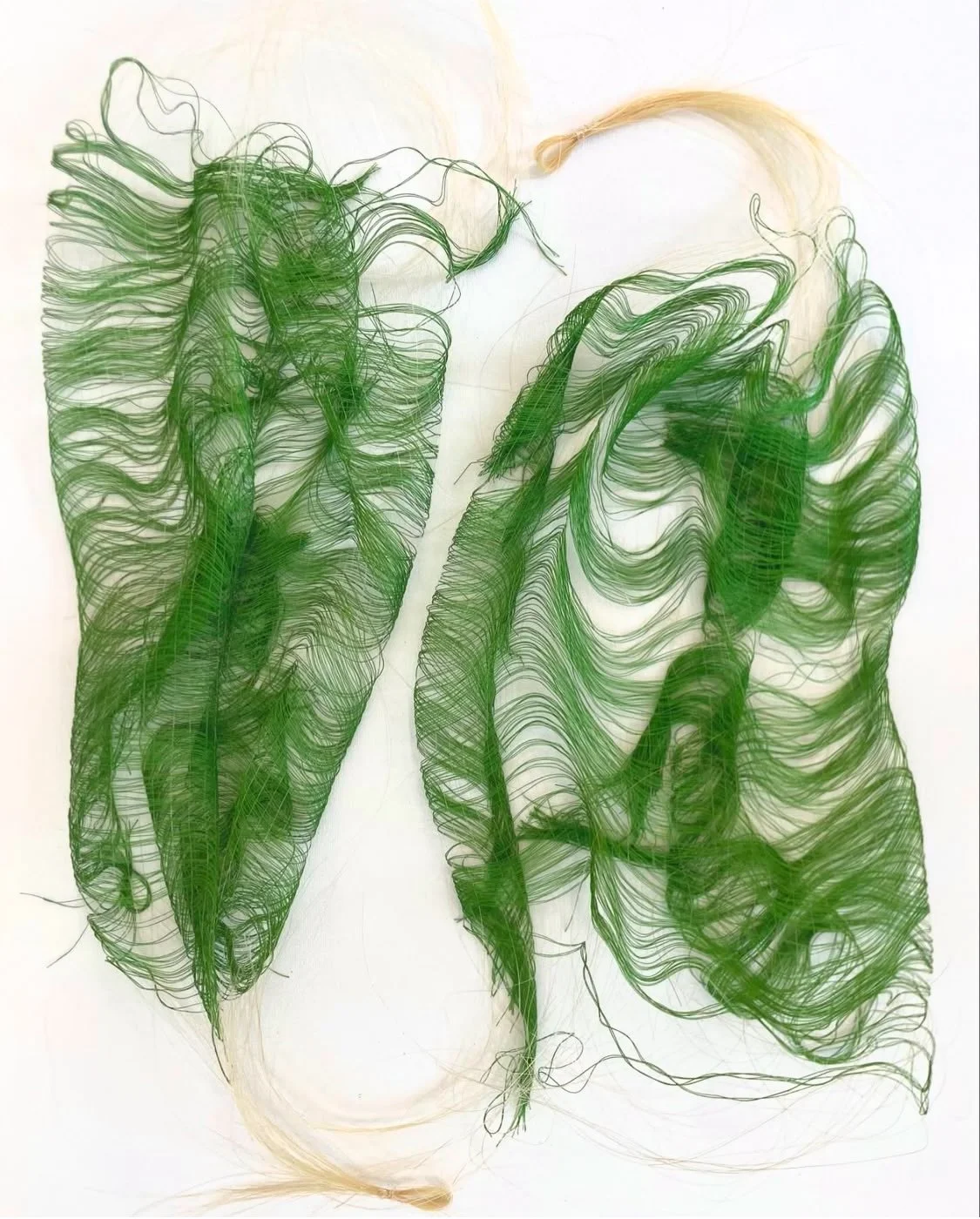 green lungs.jpeg