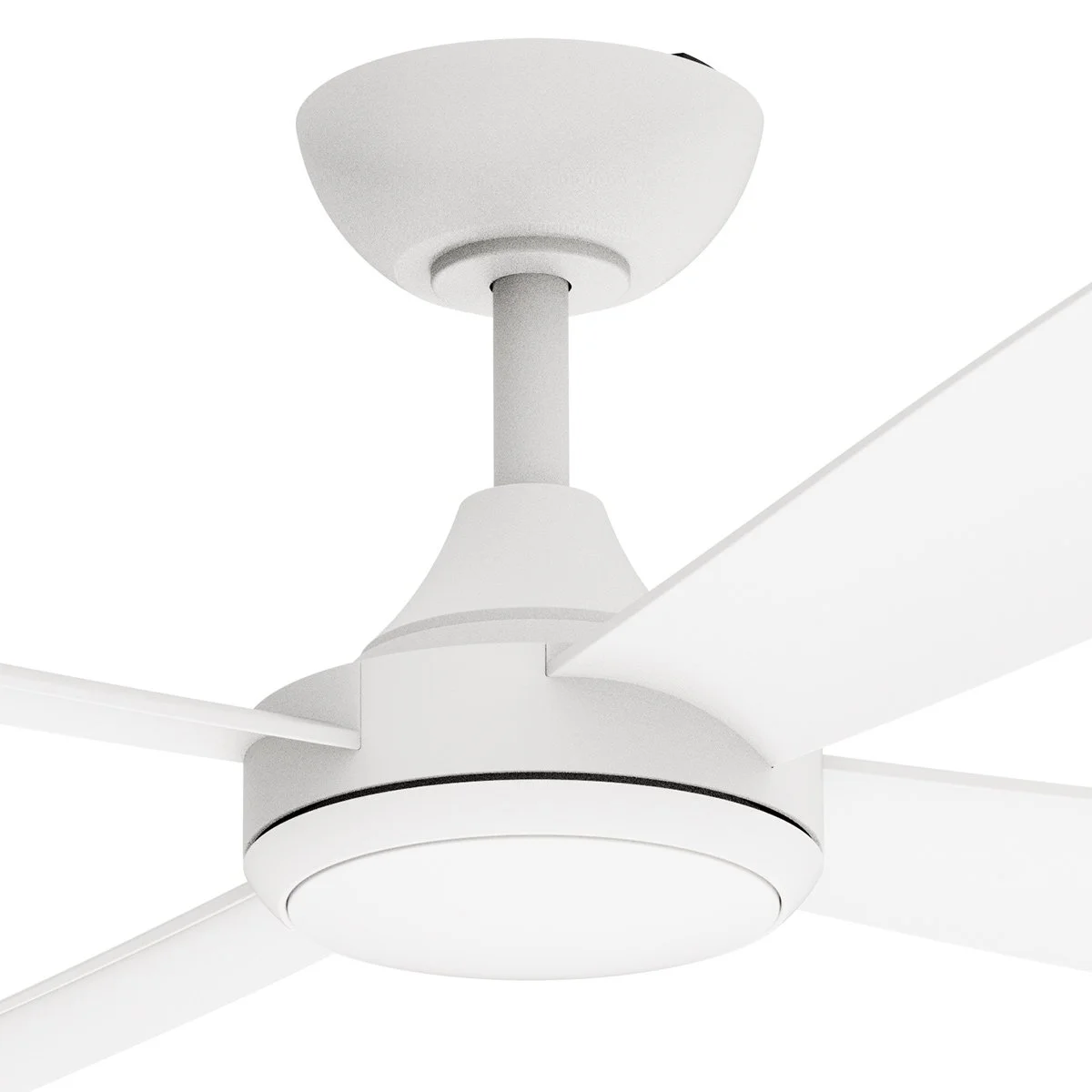 Dash_White_Closeup.jpg (Copy) (Copy)