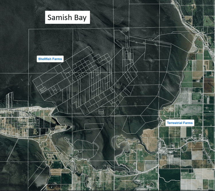 Shellfish Bay Taylor Shellfish: Blue Farming on Samish Bay — Skagitonians to Preserve ...