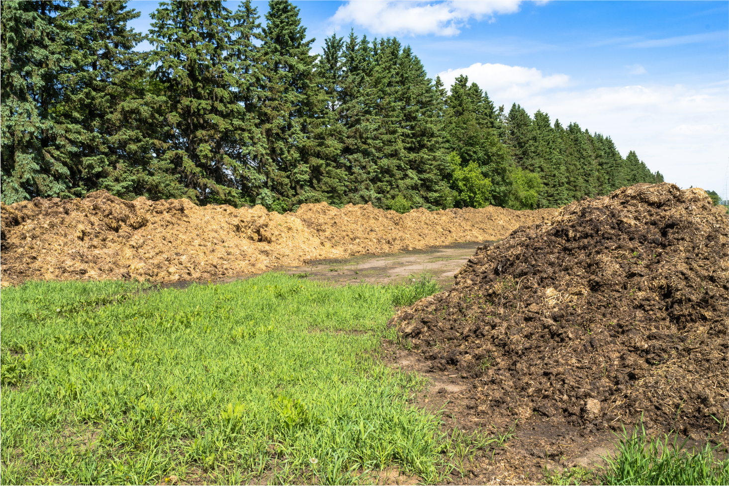 Biochar and Bioreactive Compost — Skagitonians to Preserve Farmland